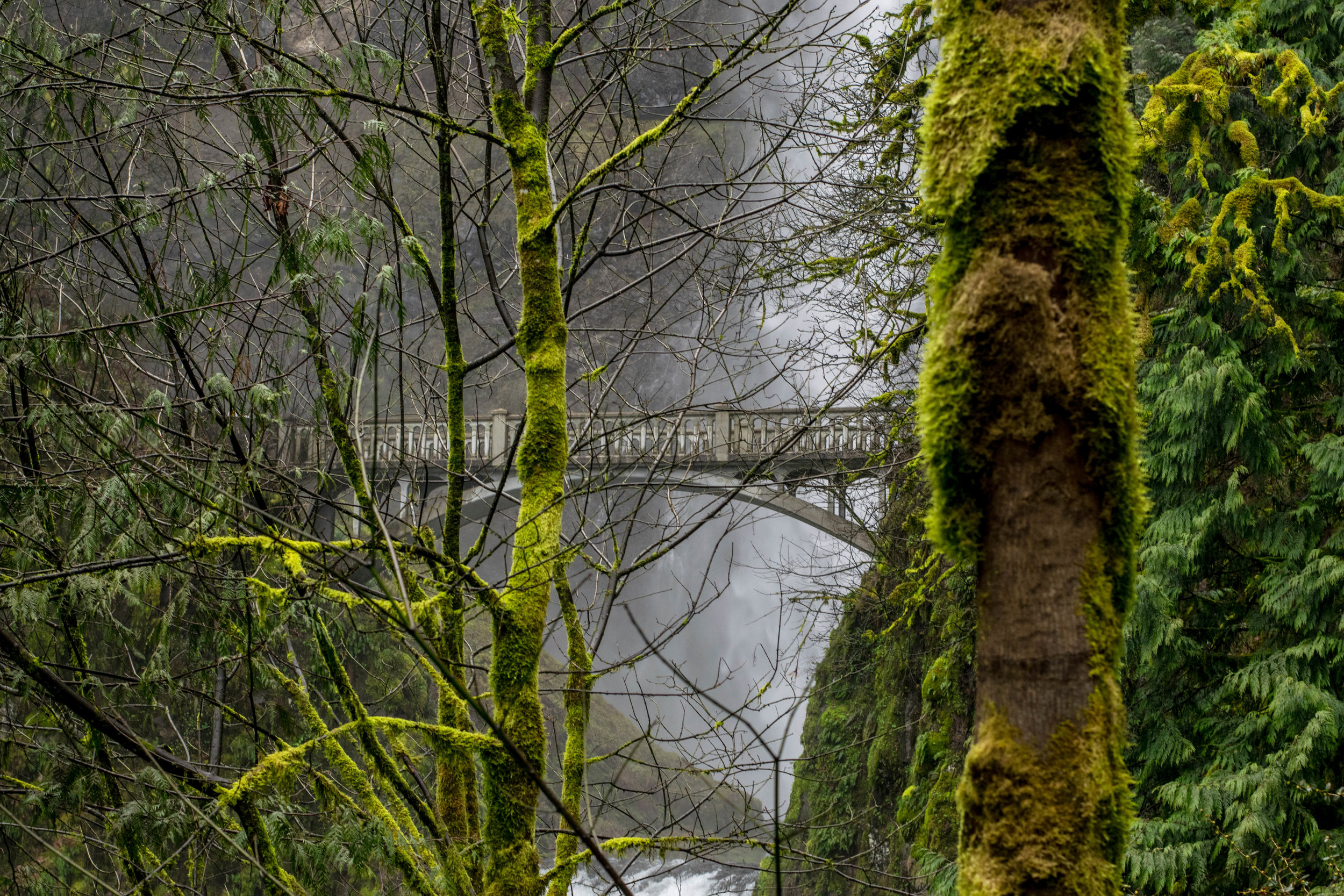 MultnomahFalls-9.jpg