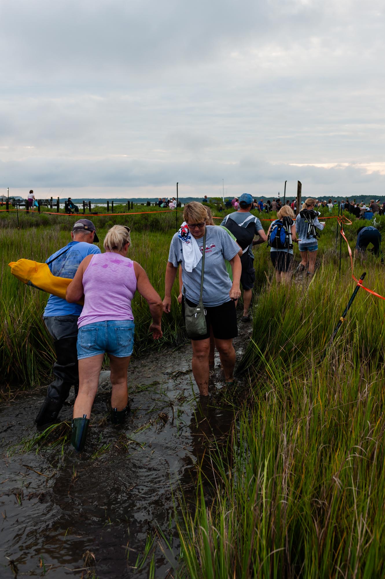 EmilyLewisCreative_20190724_Chincoteague Pony Swim-1.jpg