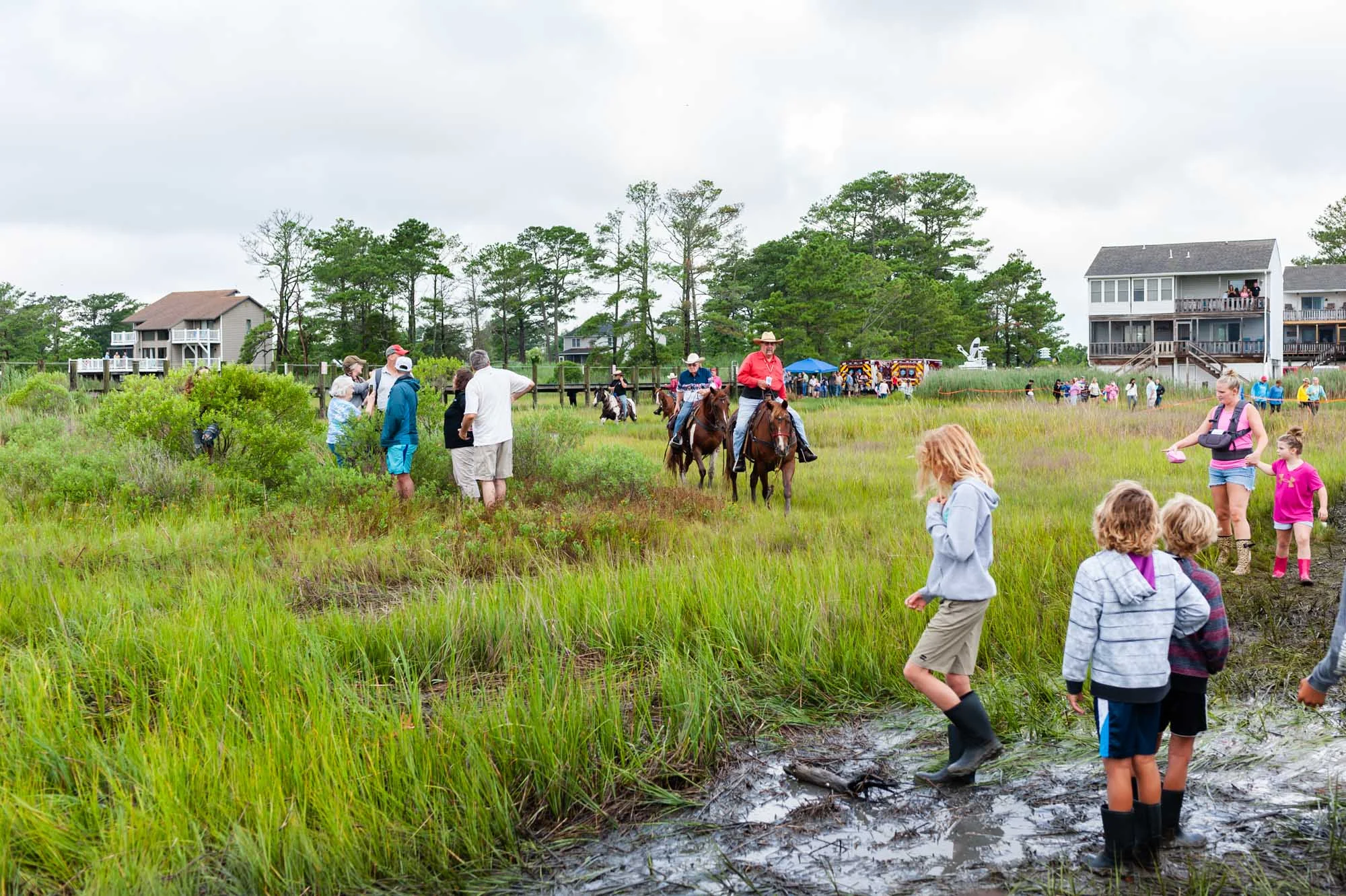 EmilyLewisCreative_20190724_Chincoteague Pony Swim-4.jpg
