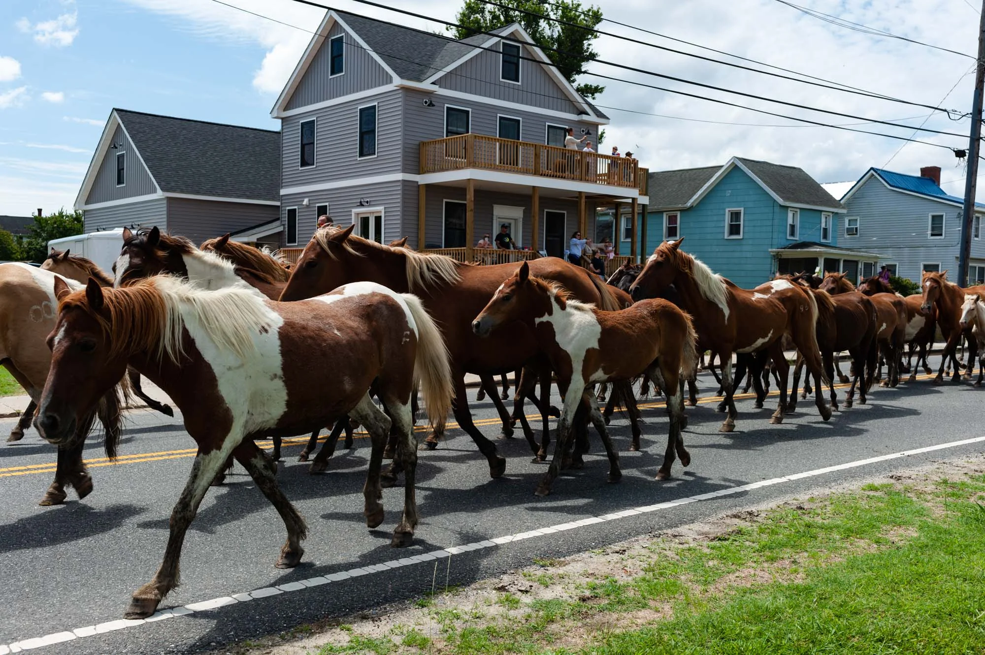 EmilyLewisCreative_20190724_Chincoteague Pony Swim-53.jpg