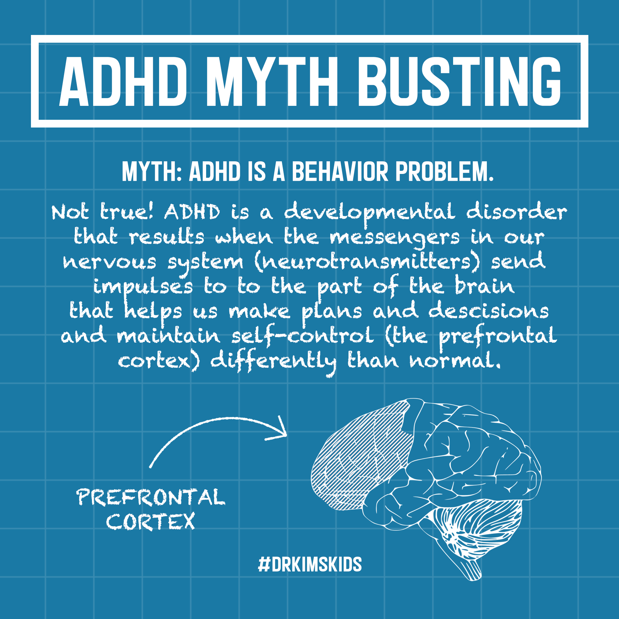 adhd mythbusting.png