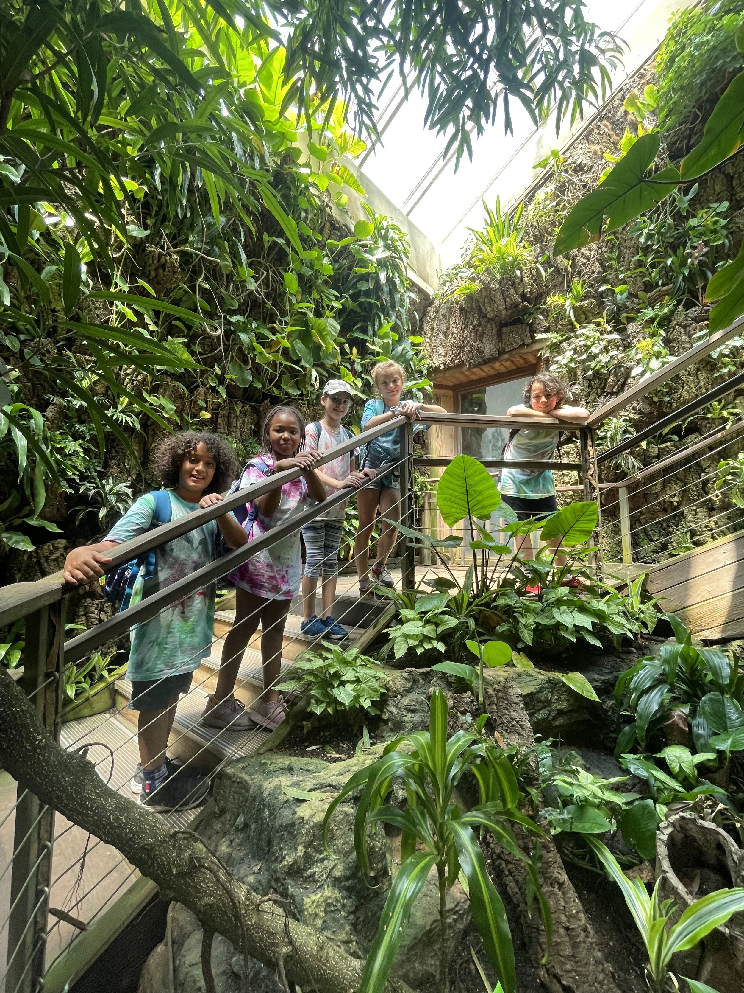 Chopsticks &amp; Zoo Animals