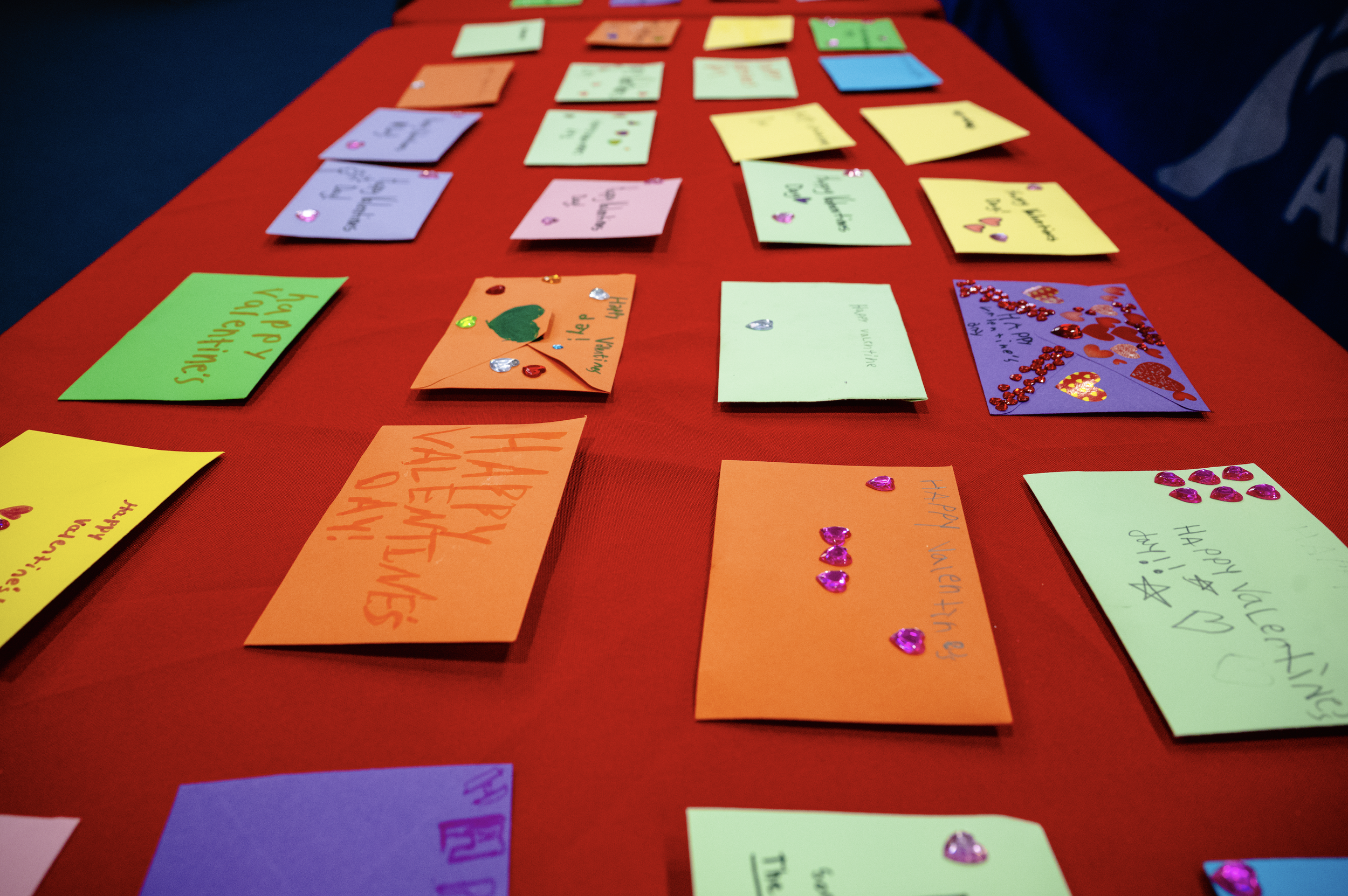 Screenshot 2026-02-18 at 12.11.43 PM.png