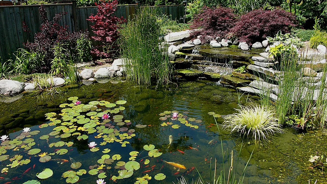 P1420475 land pond 2.jpg