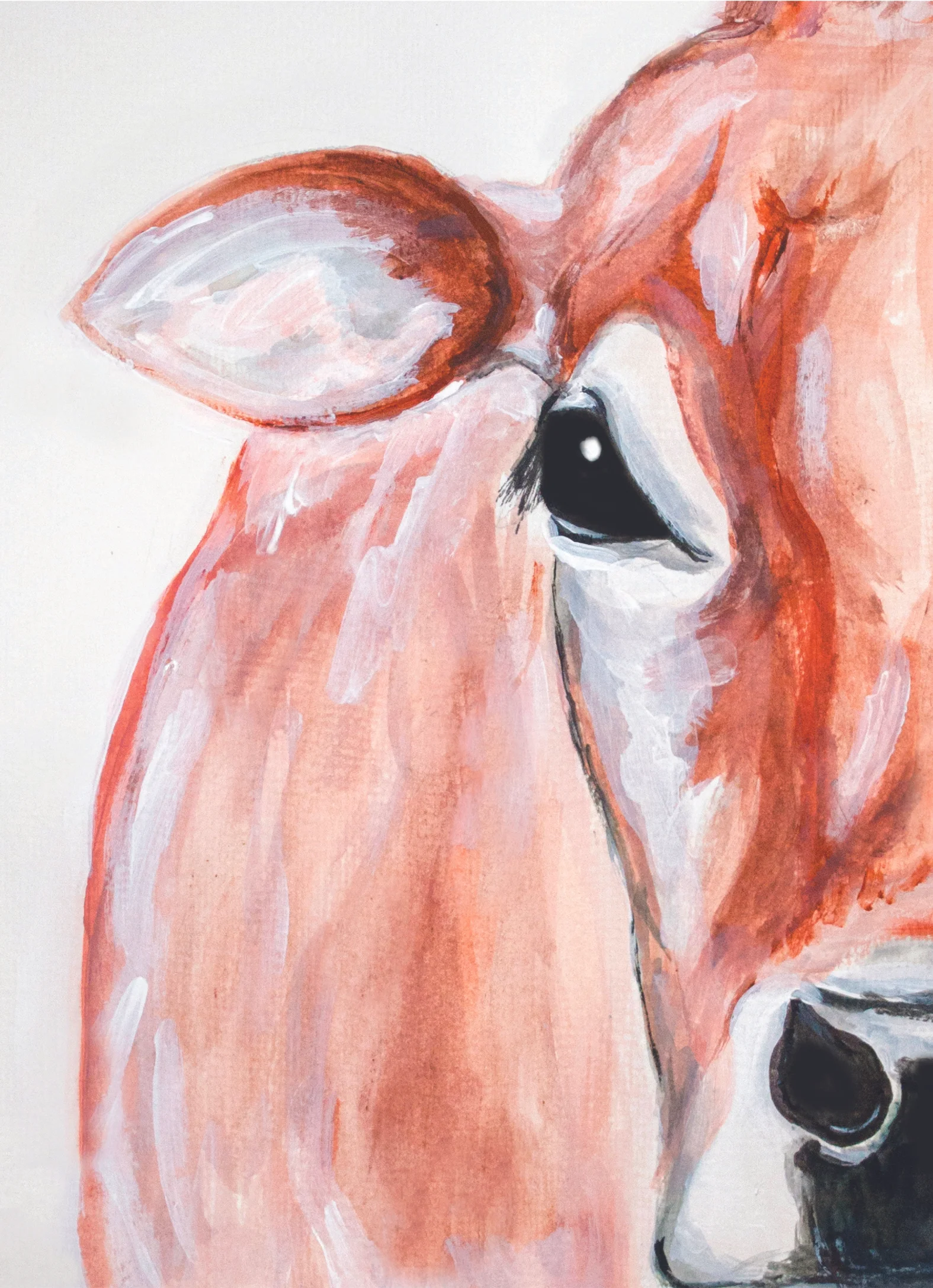 cow.jpg