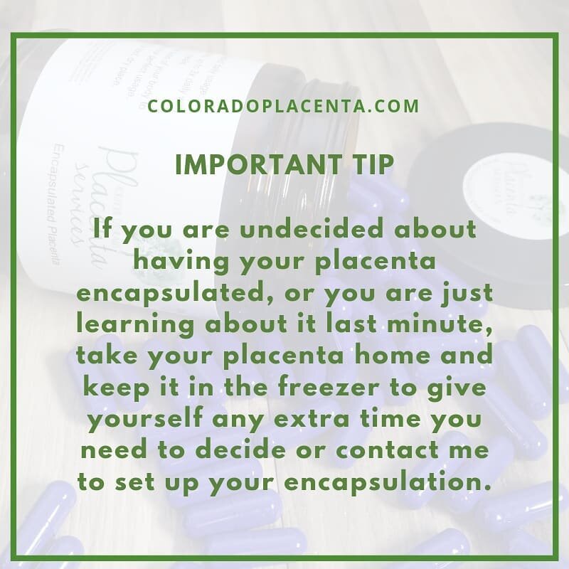 Today I picked up a placenta for a lovely mom of 4. When she gave birth, her nurses at the hospital told her about the option to have her placenta encapsulated and gave her my information to have it done! So, she took her placenta home with her from 