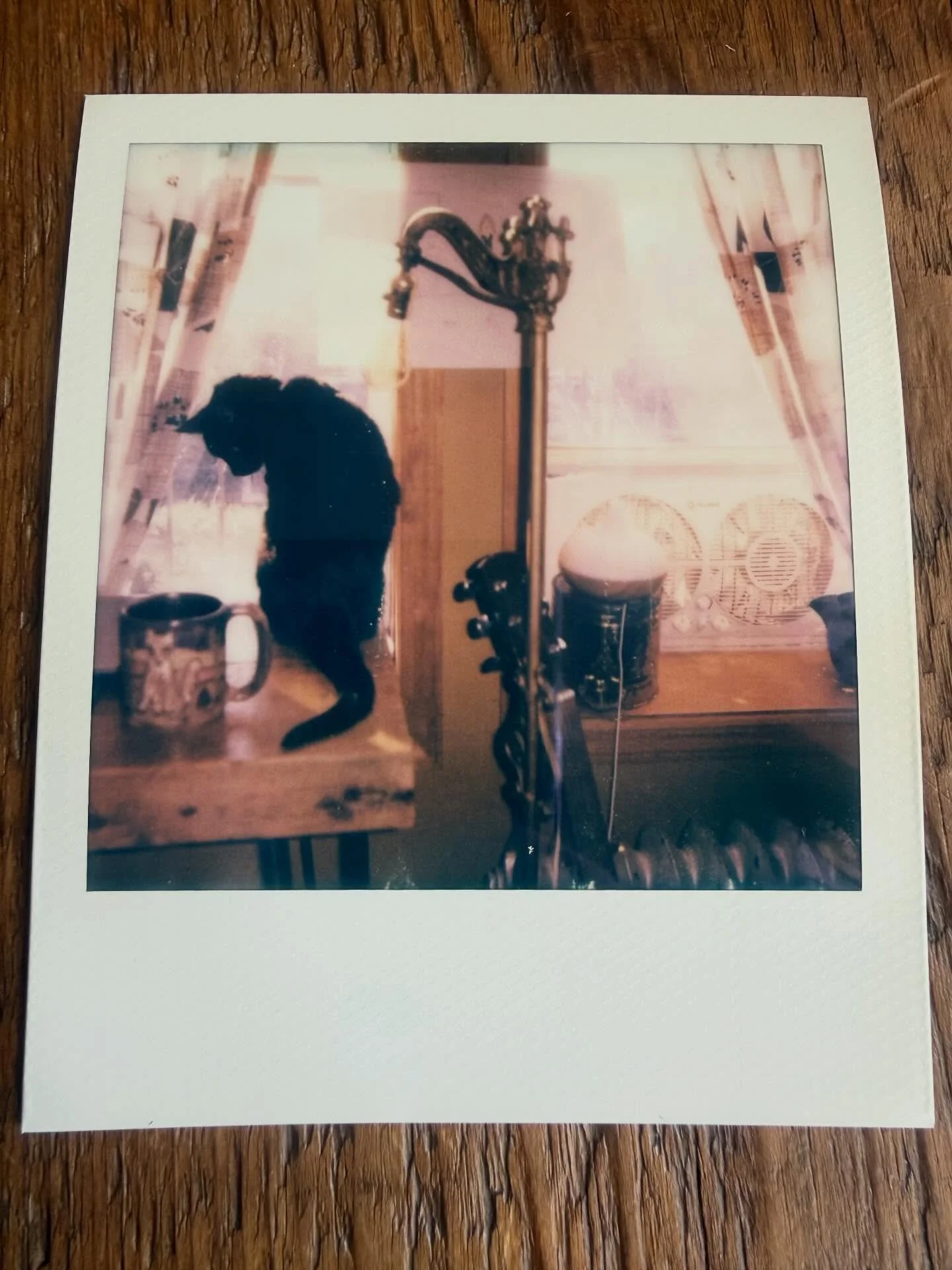 He woke me up at 6am to cuddle. Because he knew and he was ready. We watched the sunrise and had our normal morning stretching routine and breakfast, he got some Greek yogurt off a spoon and then we watched the birds and the people out the windows. H