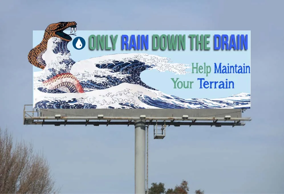 Rain Down Drain Billboard.jpg