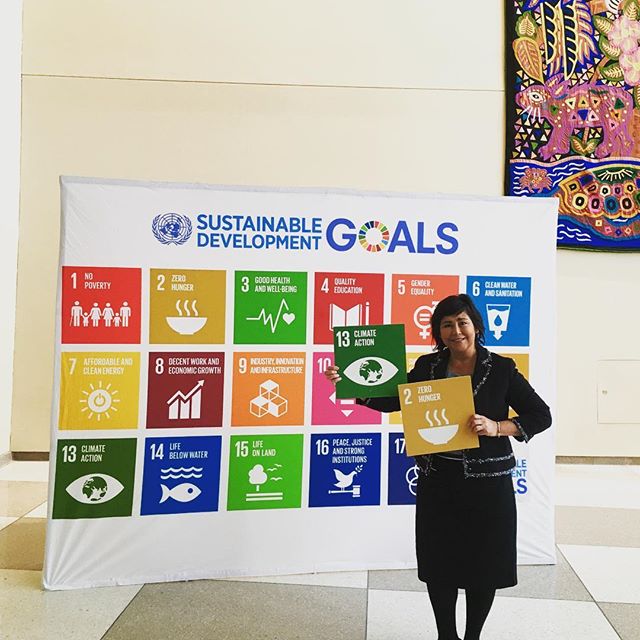 We embrace and promote the Global Goals for Sustainable Development. #USAforUN
*
*
*
*
#globalgoals
#sdgs
#stl
#stlouis
#voces
#stlvoces