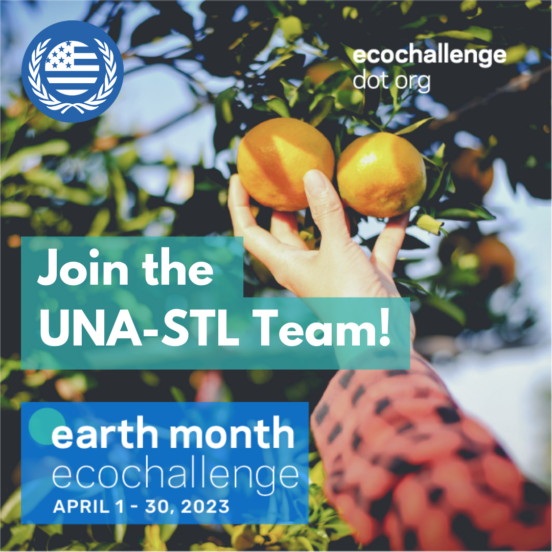 Earth Month Ecochallenge