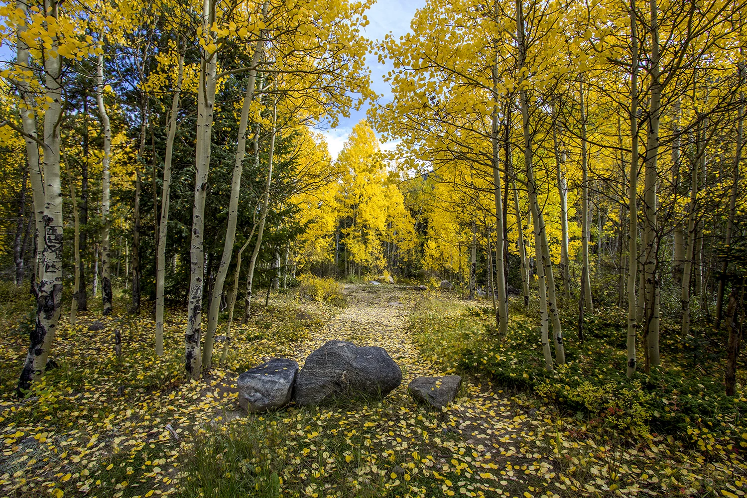 Colorado Fall