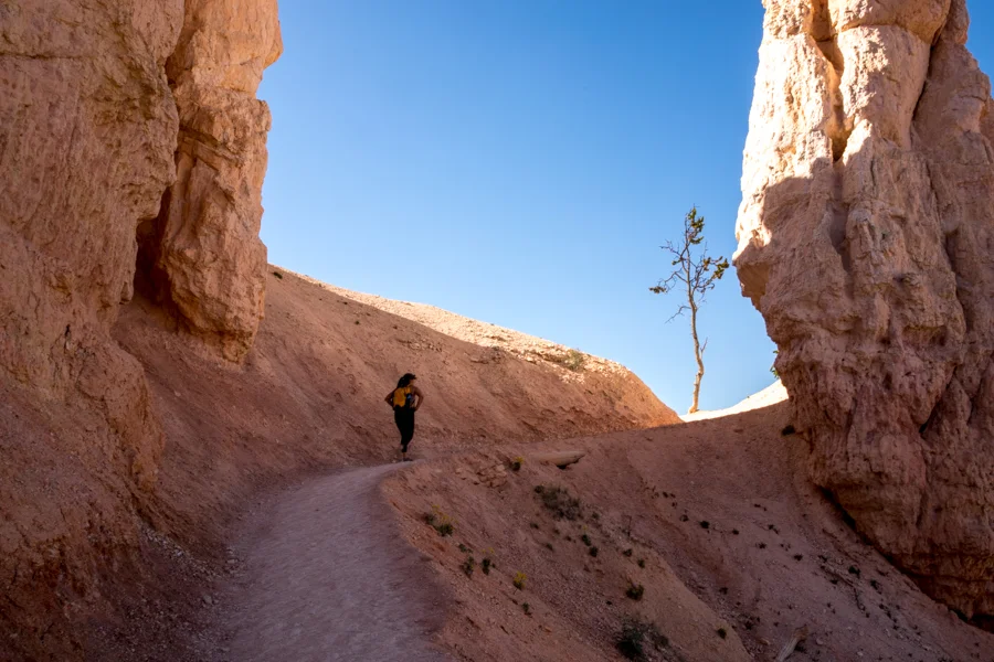 BRYCE CANYON NATIONAL PARK