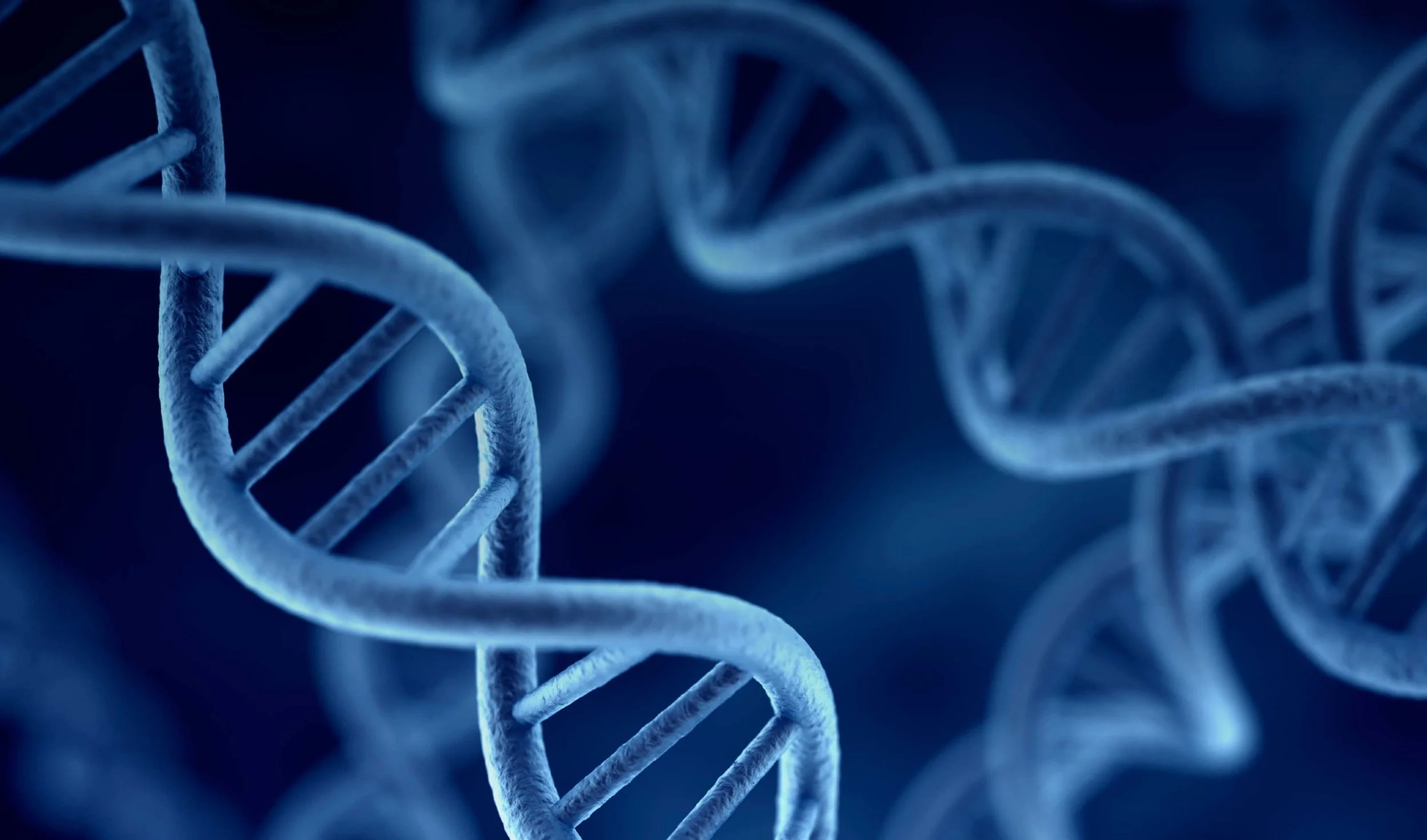 DNA Magnified.jpg