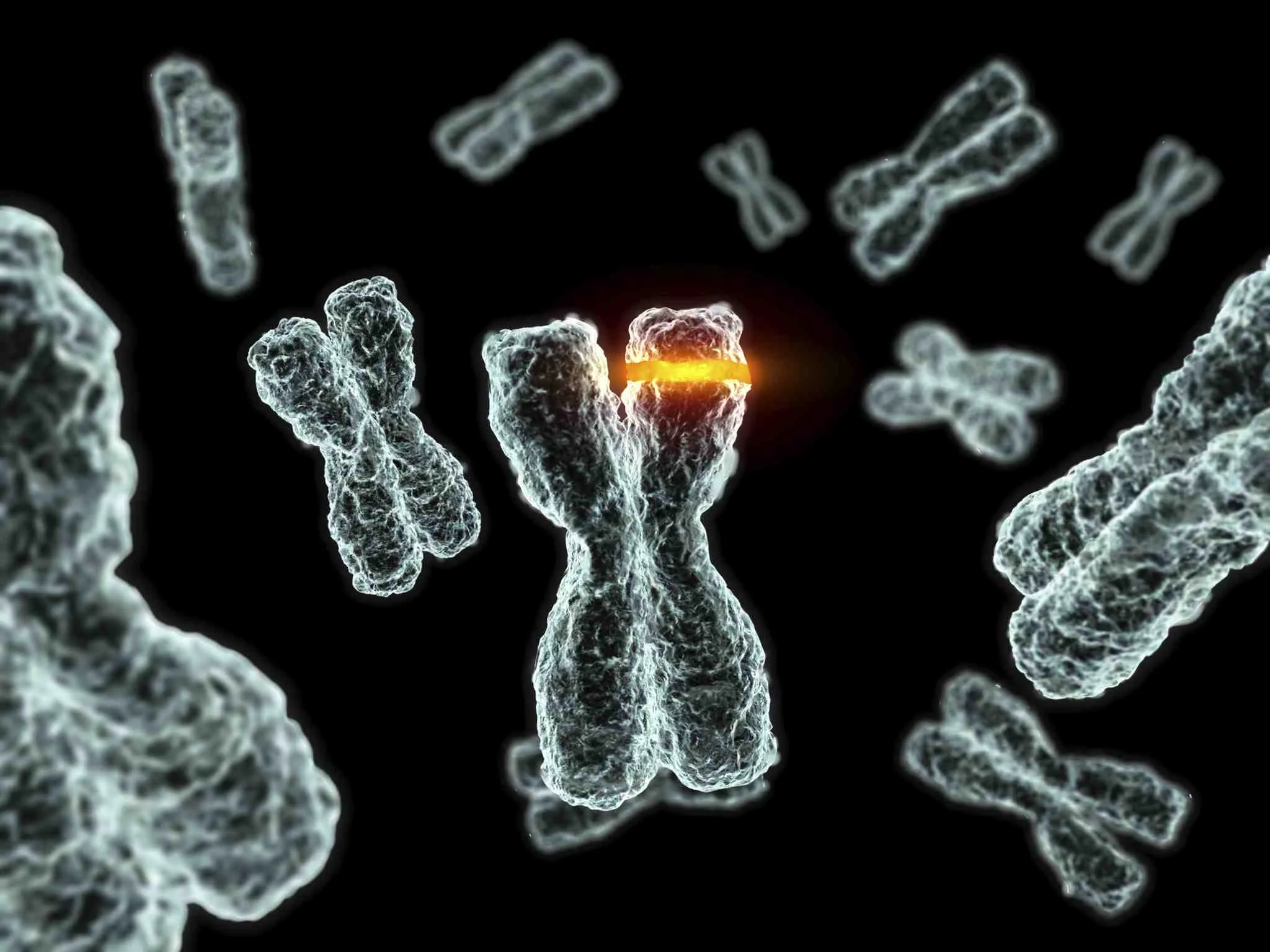 Genetic Mutation.jpg