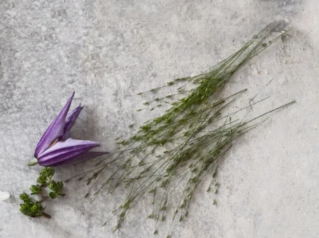 SQUARESPACE_GIRLBOSS_RALLY_CONTENT_GIVEAWAY_13 2.jpg