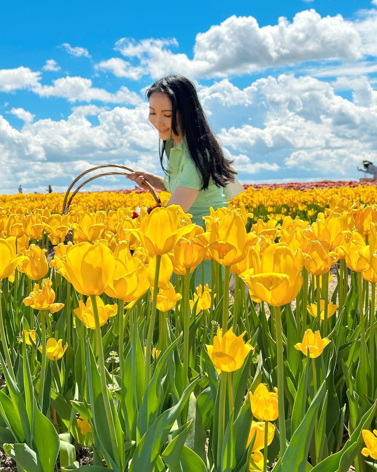 🌷🌷🌷
#tulipfestival #burnsidefarms