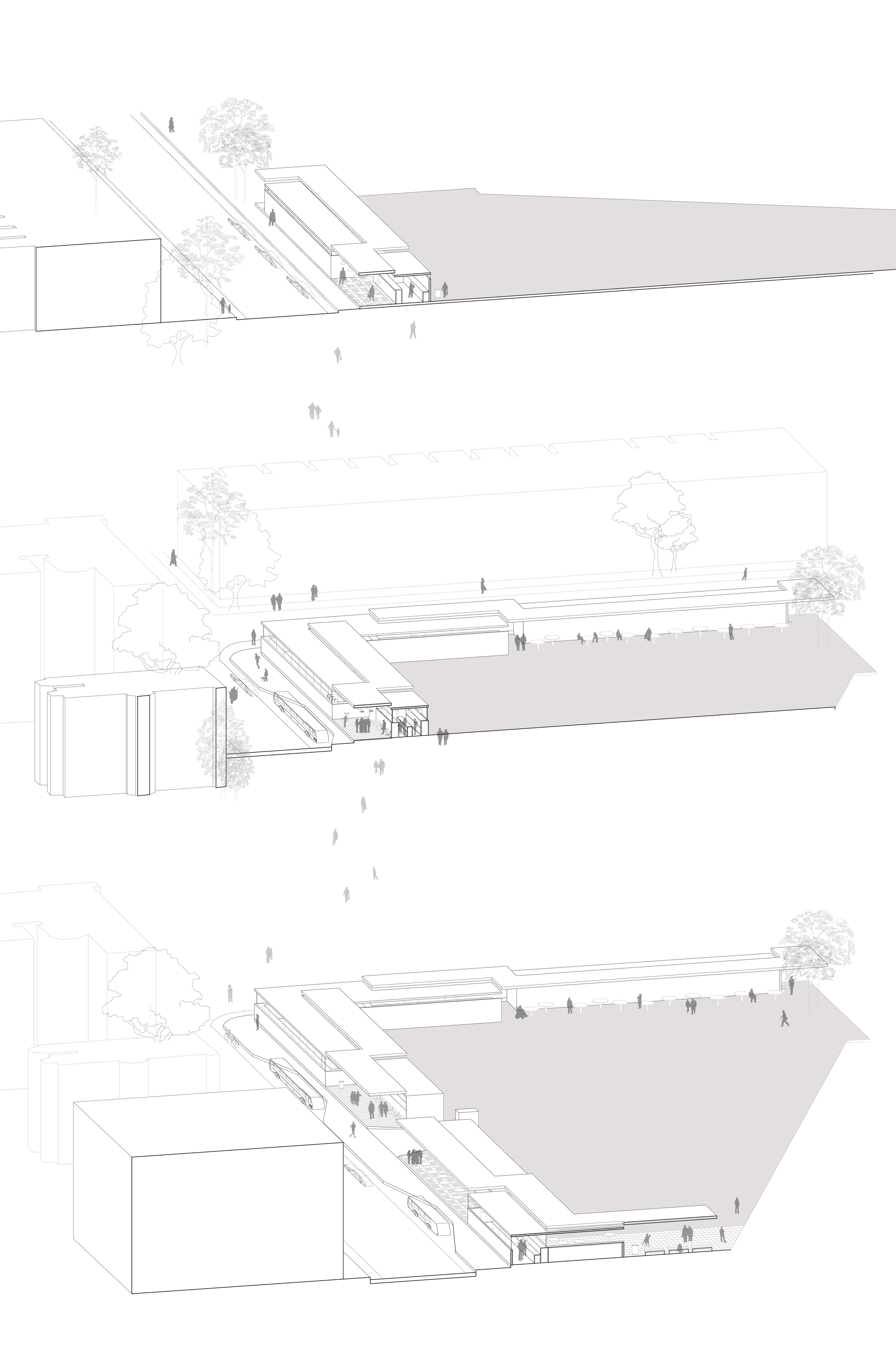 14_bigaxons-01.png