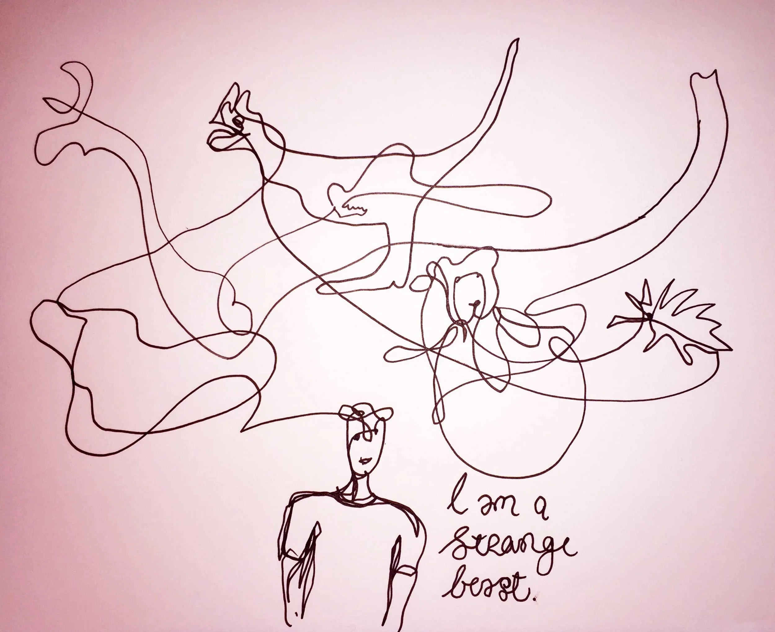 I am a strange beast. Drawing Luke Hockley.