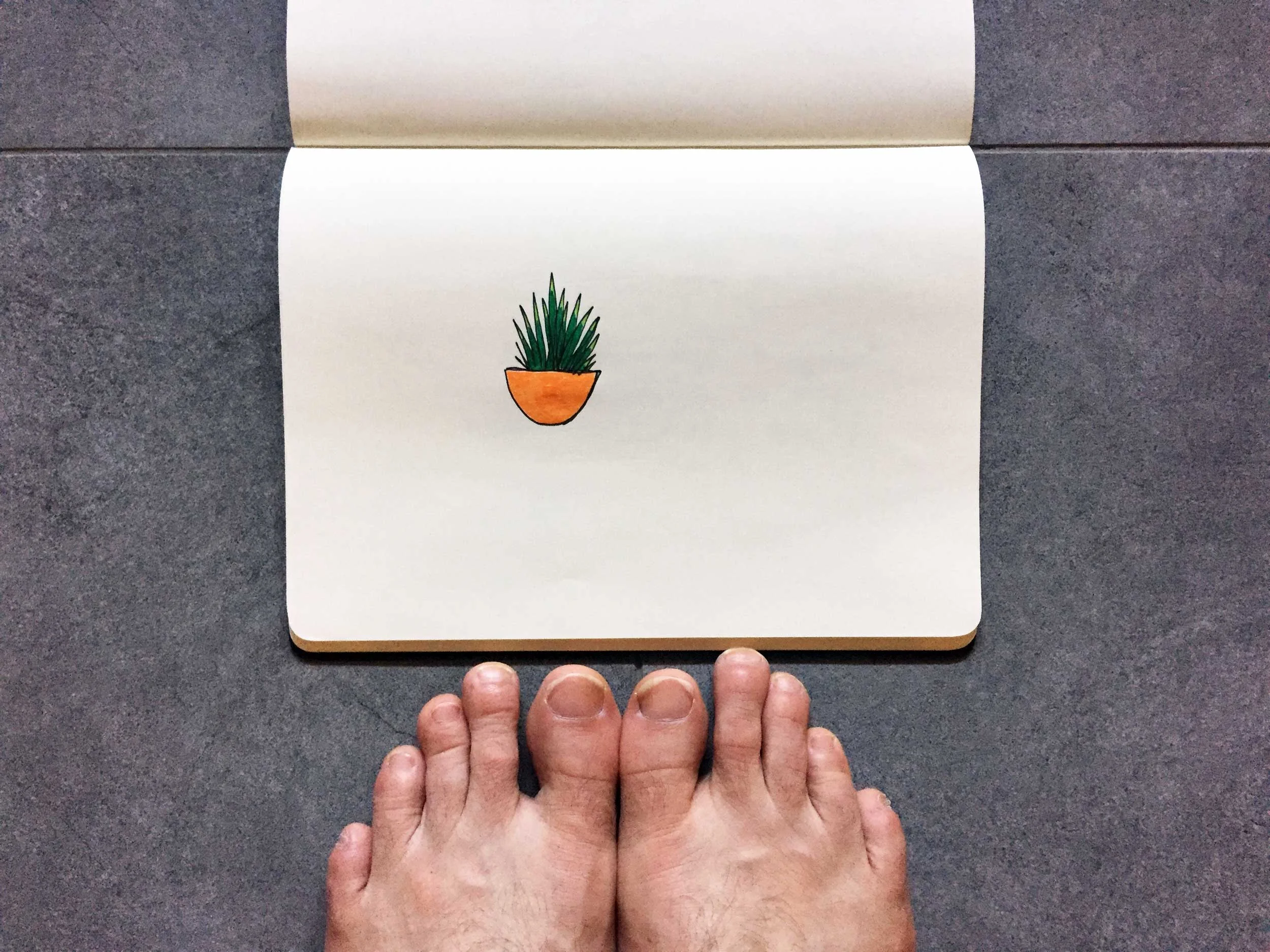 A confident cactus. Drawing Luke Hockley.