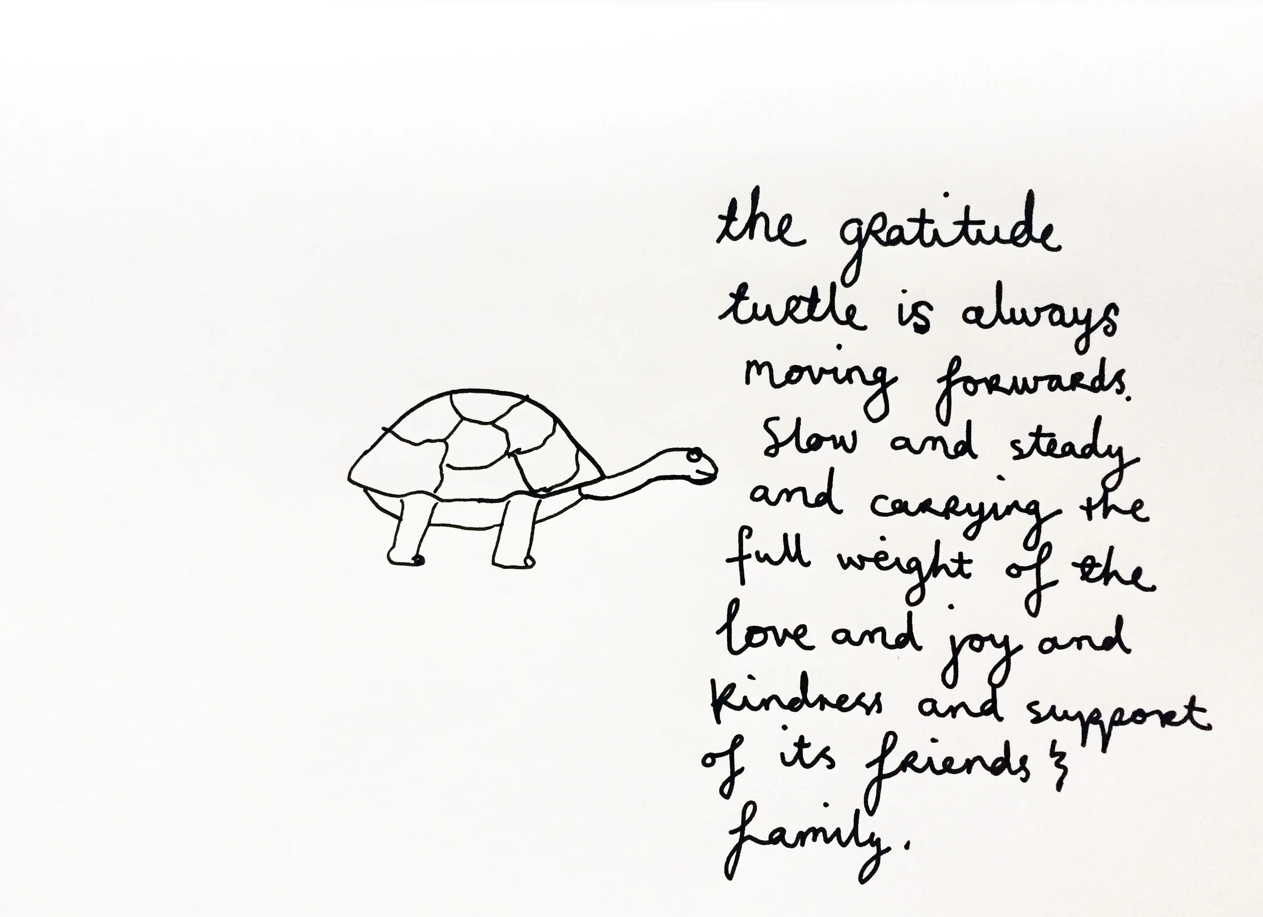 A grateful turtle. Drawing Luke Hockley.