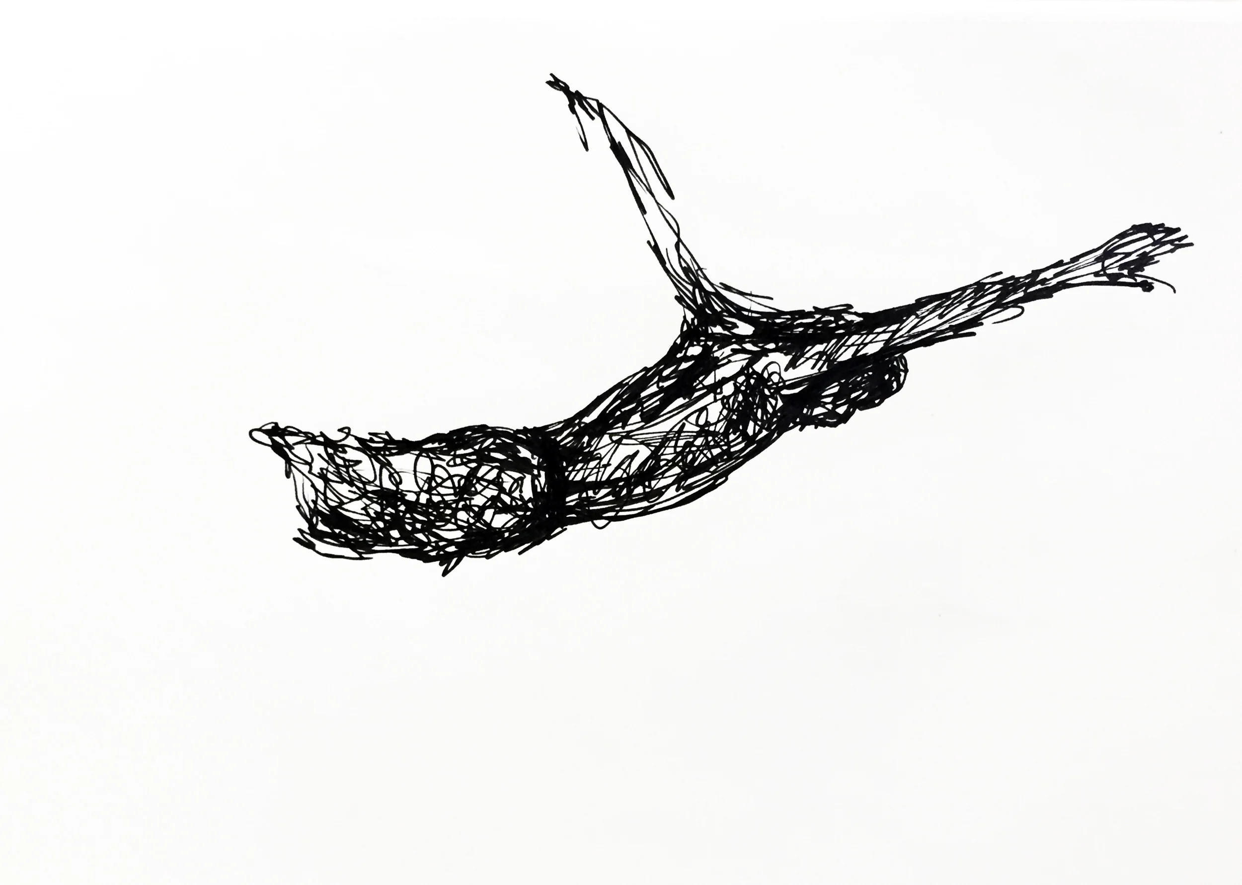 Free falling. Drawing Luke Hockley