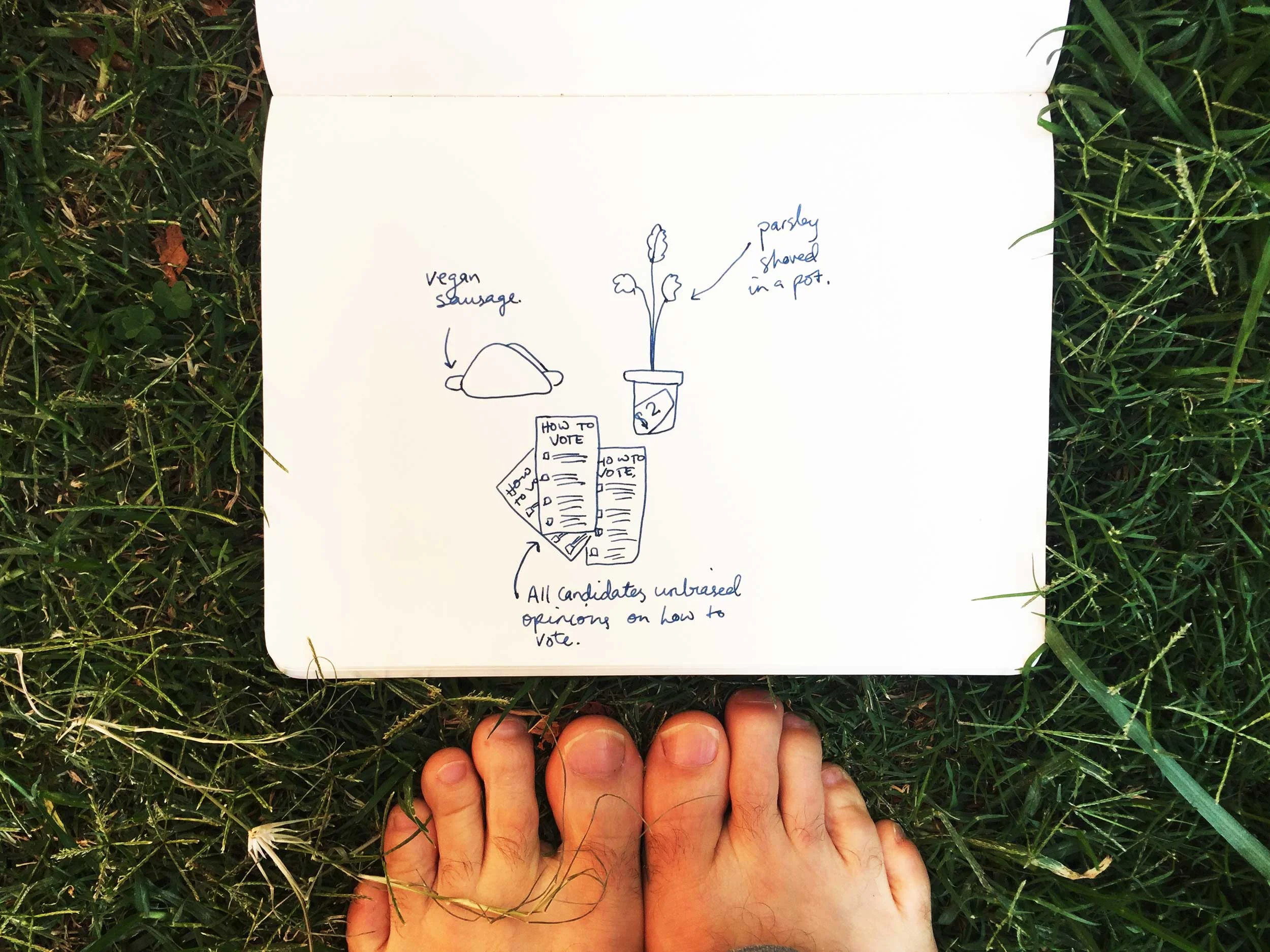 A vegan sausage sizzle. Drawing Luke Hockley.