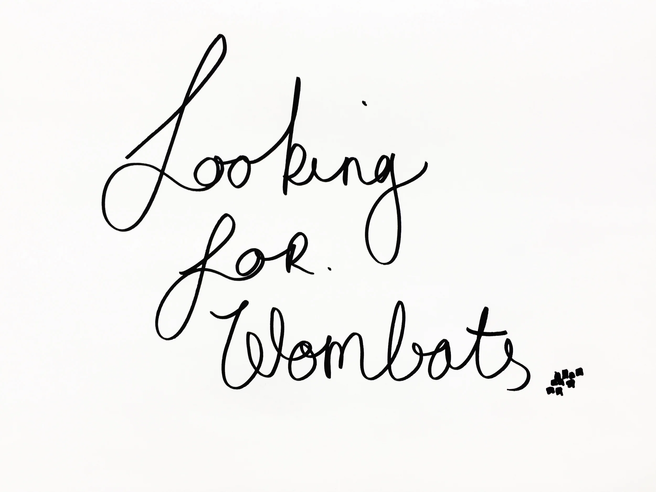 Looking for wombats. Drawing Luke Hockley.