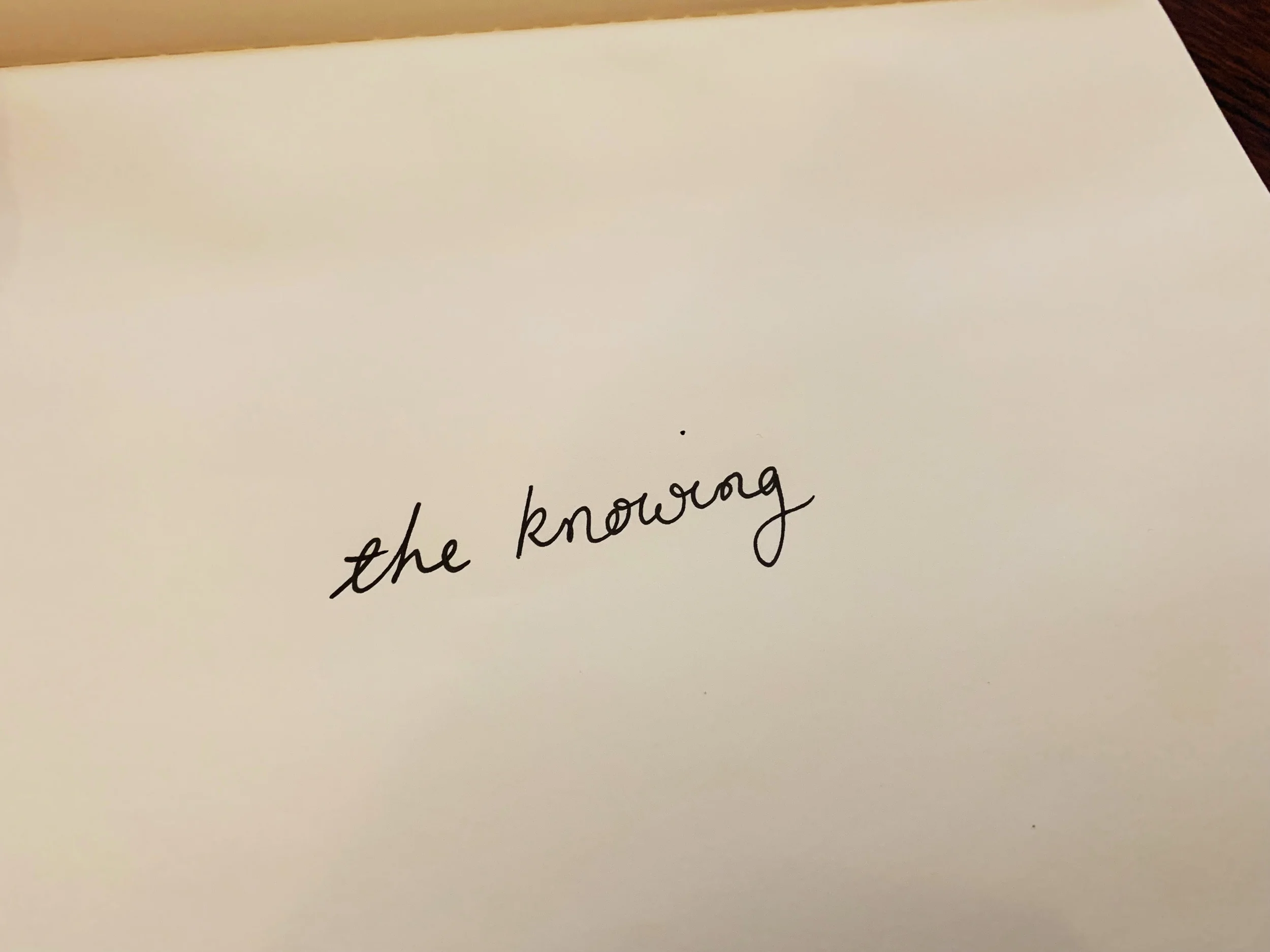 The knowing. Drawing Luke Hockley.
