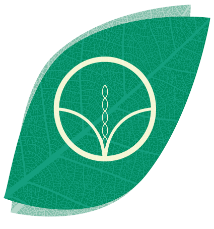 logo_detail_medium.png