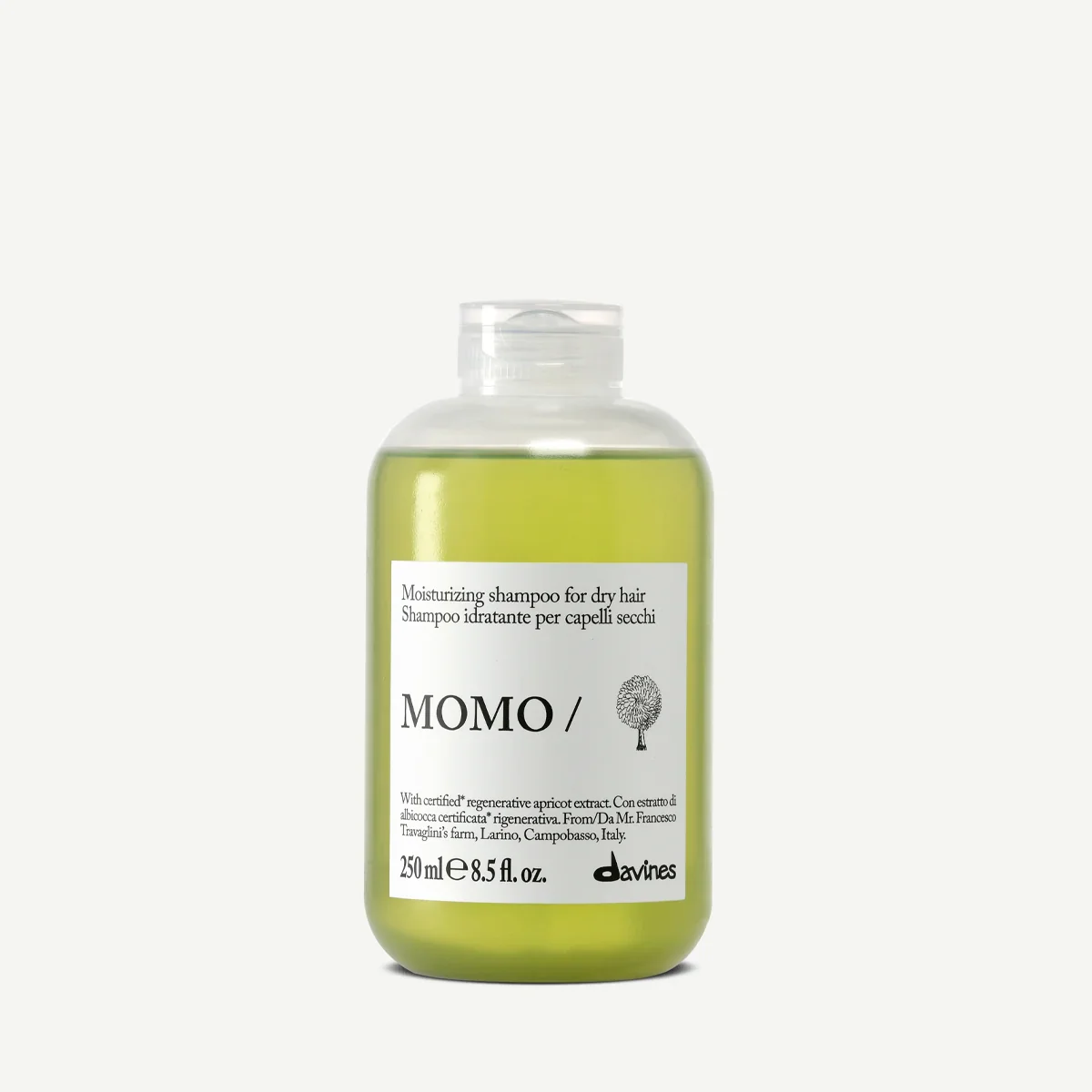 momo s.webp