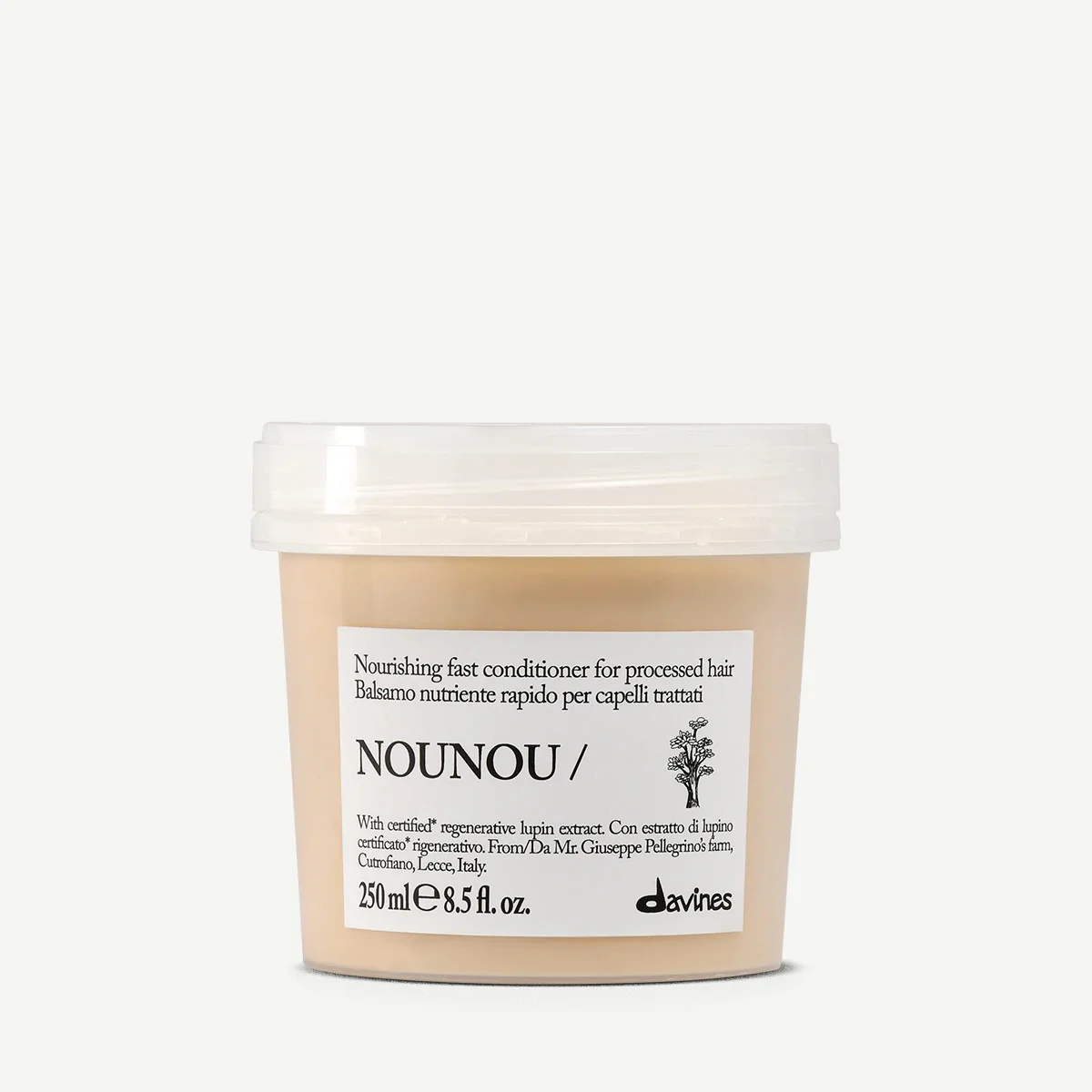 nounou c.webp