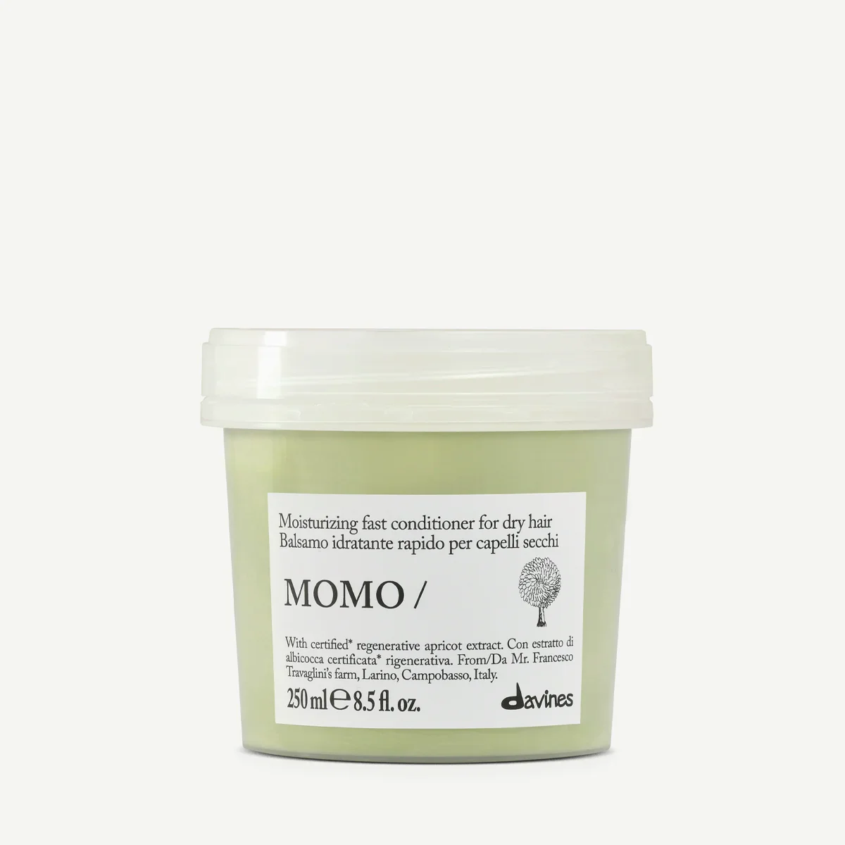 momo c.webp