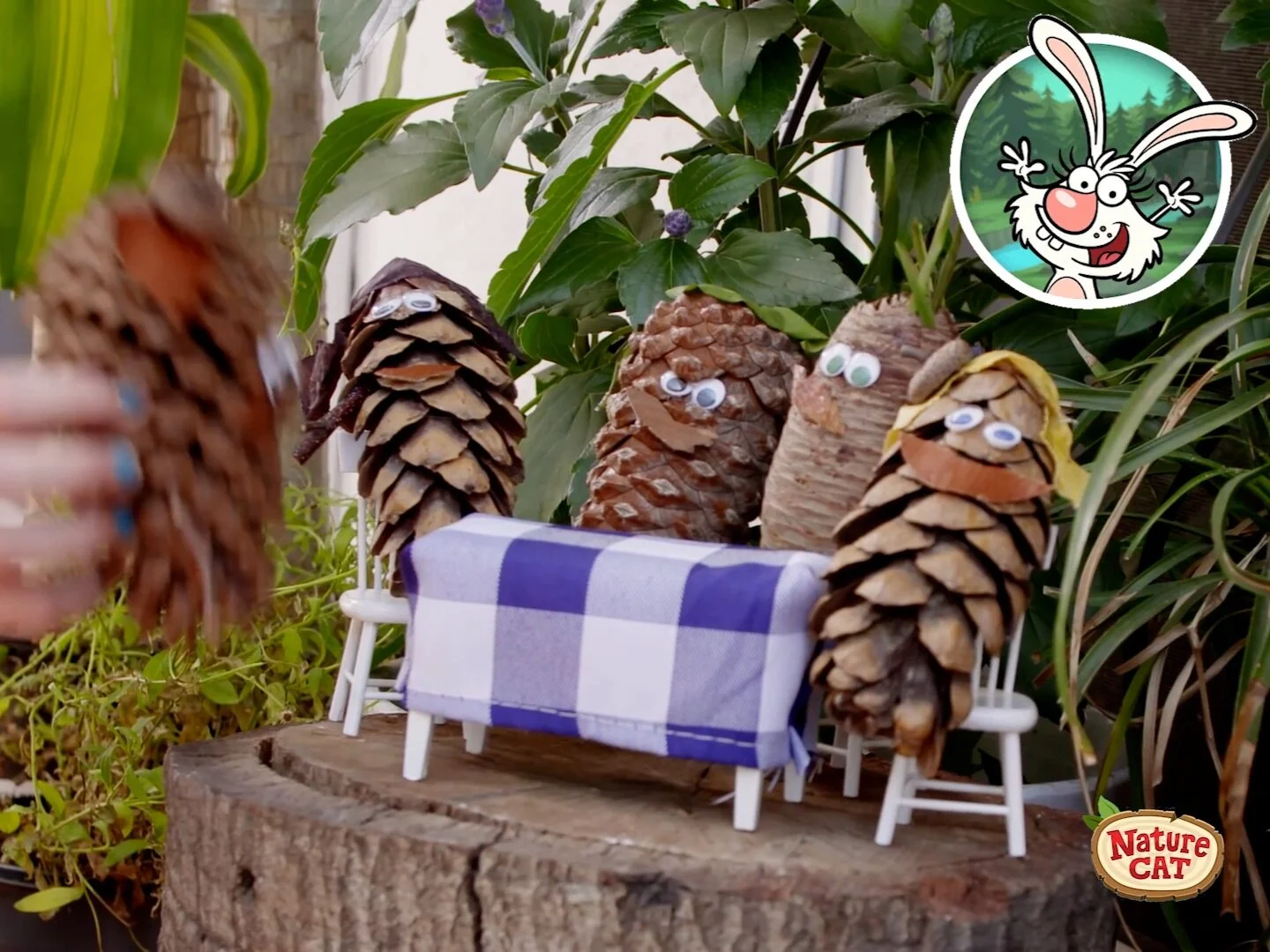 PBS Nature Cat PineCone Pals
