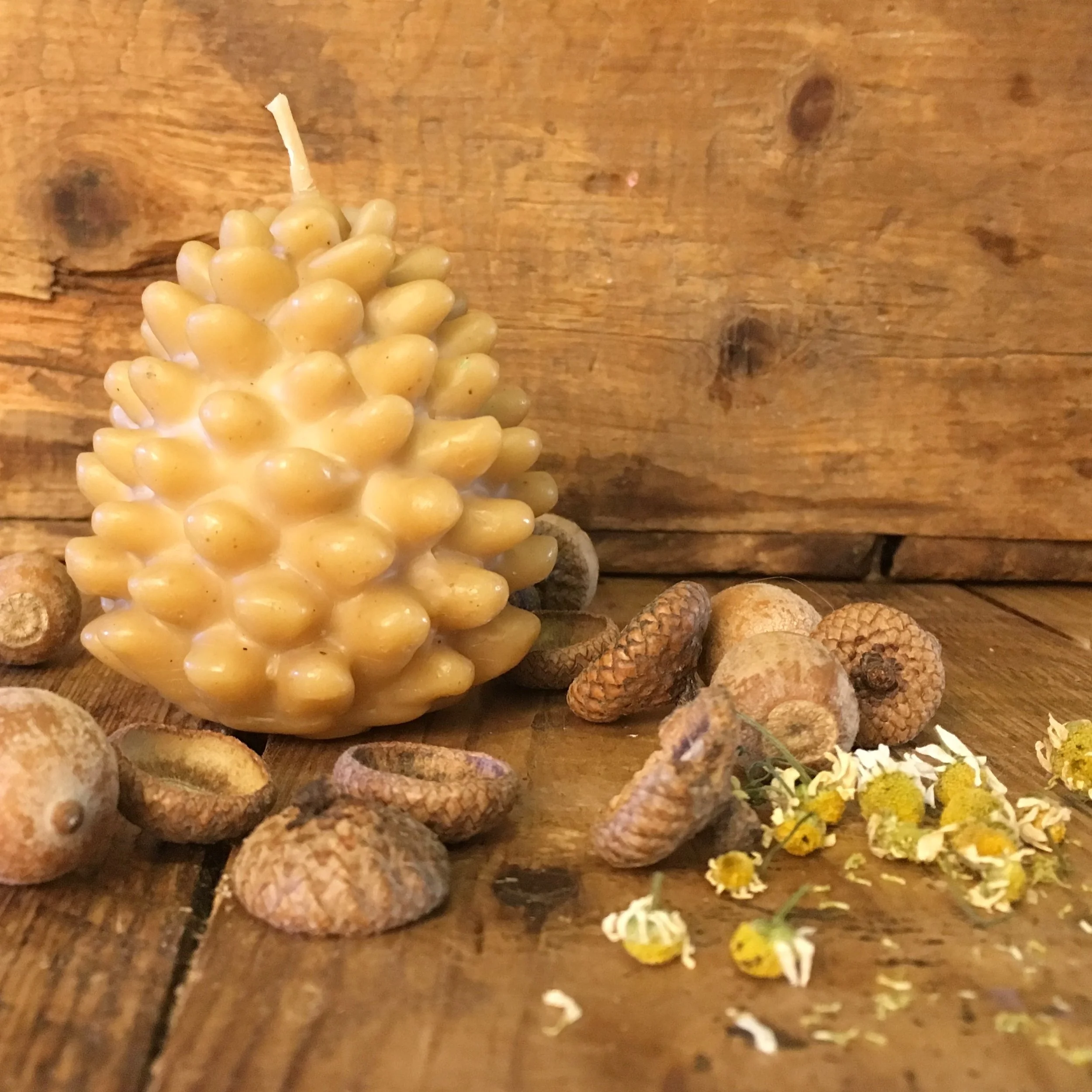 Beeswax Pinecone Candle