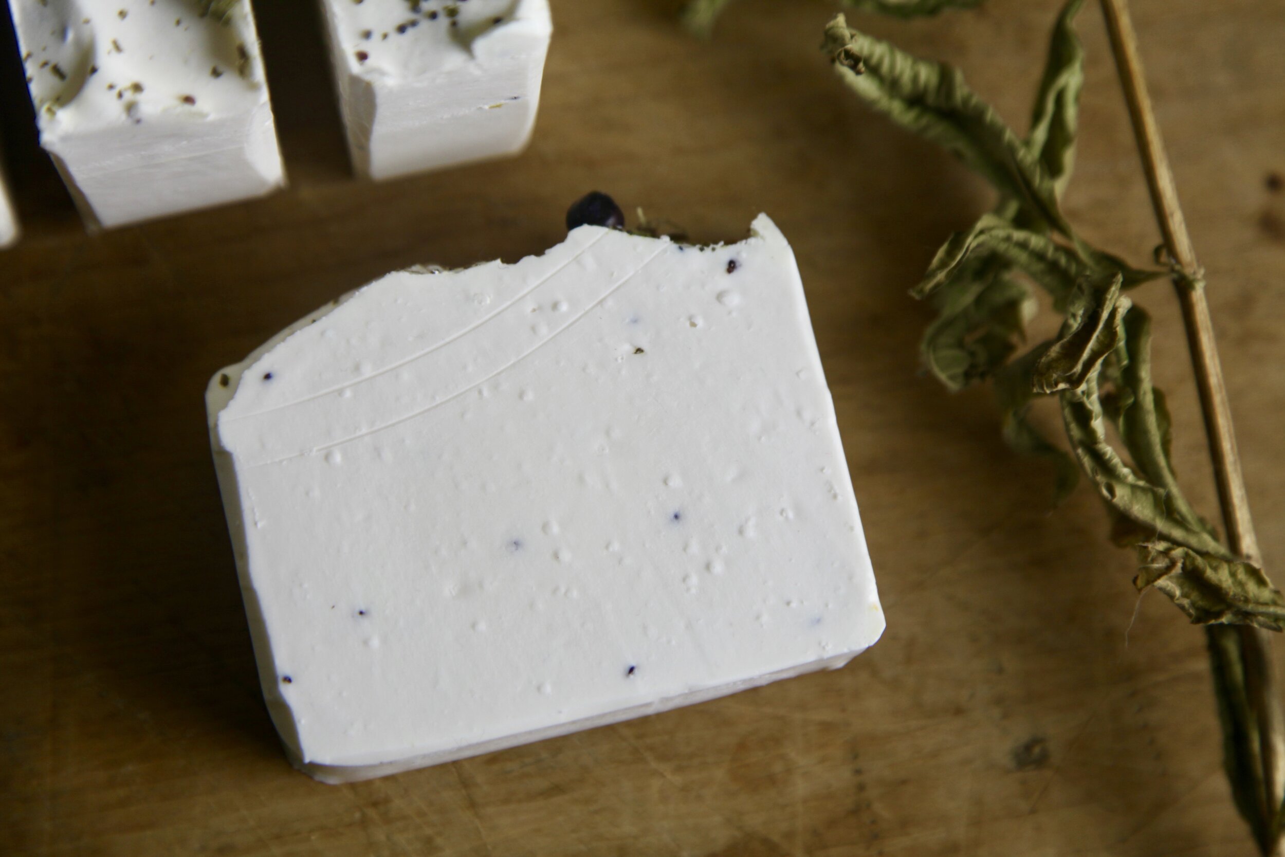 3BE02659-2DEE-4AC8-85A1-41080864A8E0