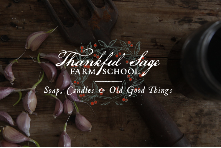 Cast Iron Seasoning — Thankful Sage Farm School