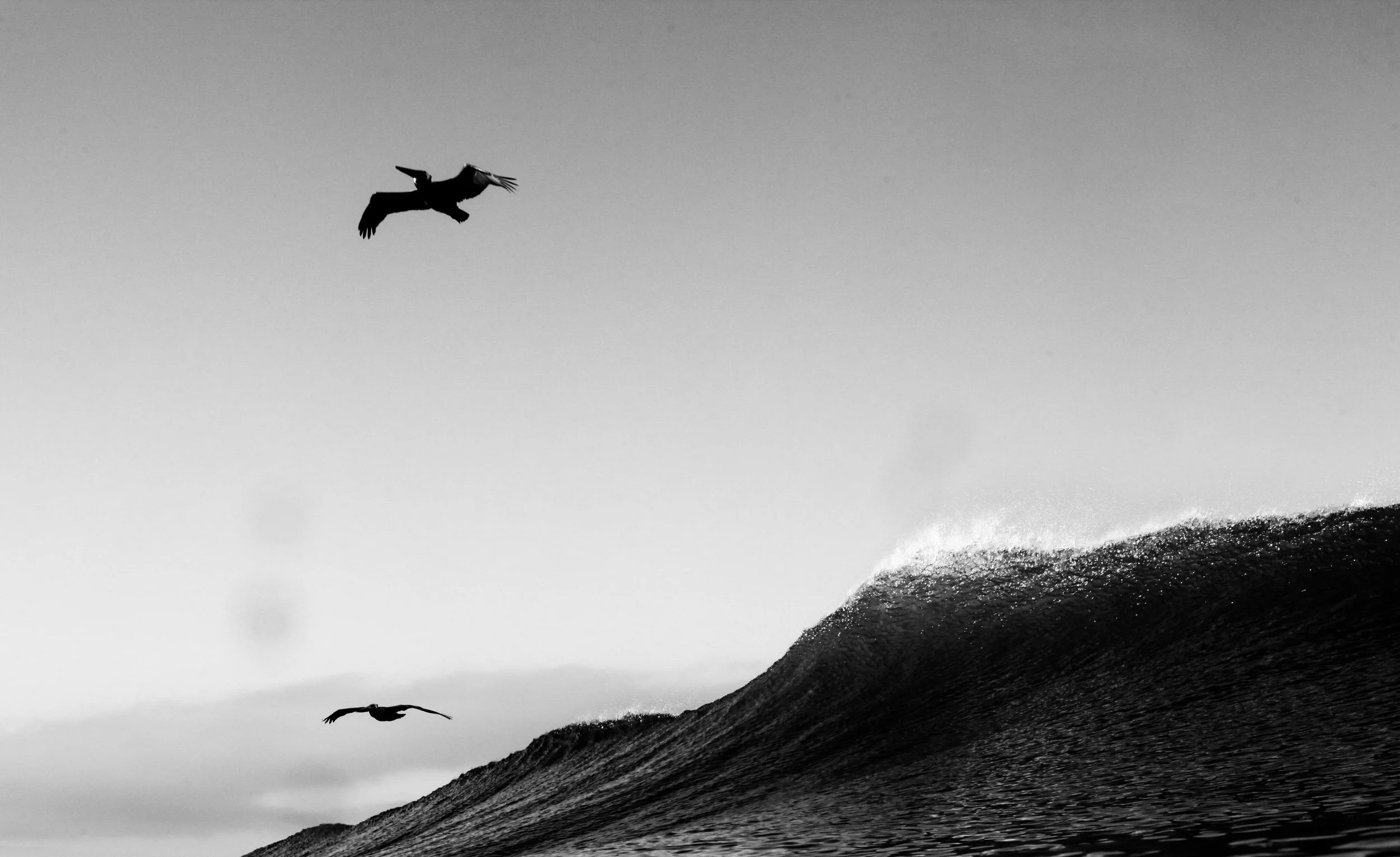 2017.03.27_Torrey Pines Sunrise Water_John OCallaghan-15.jpg