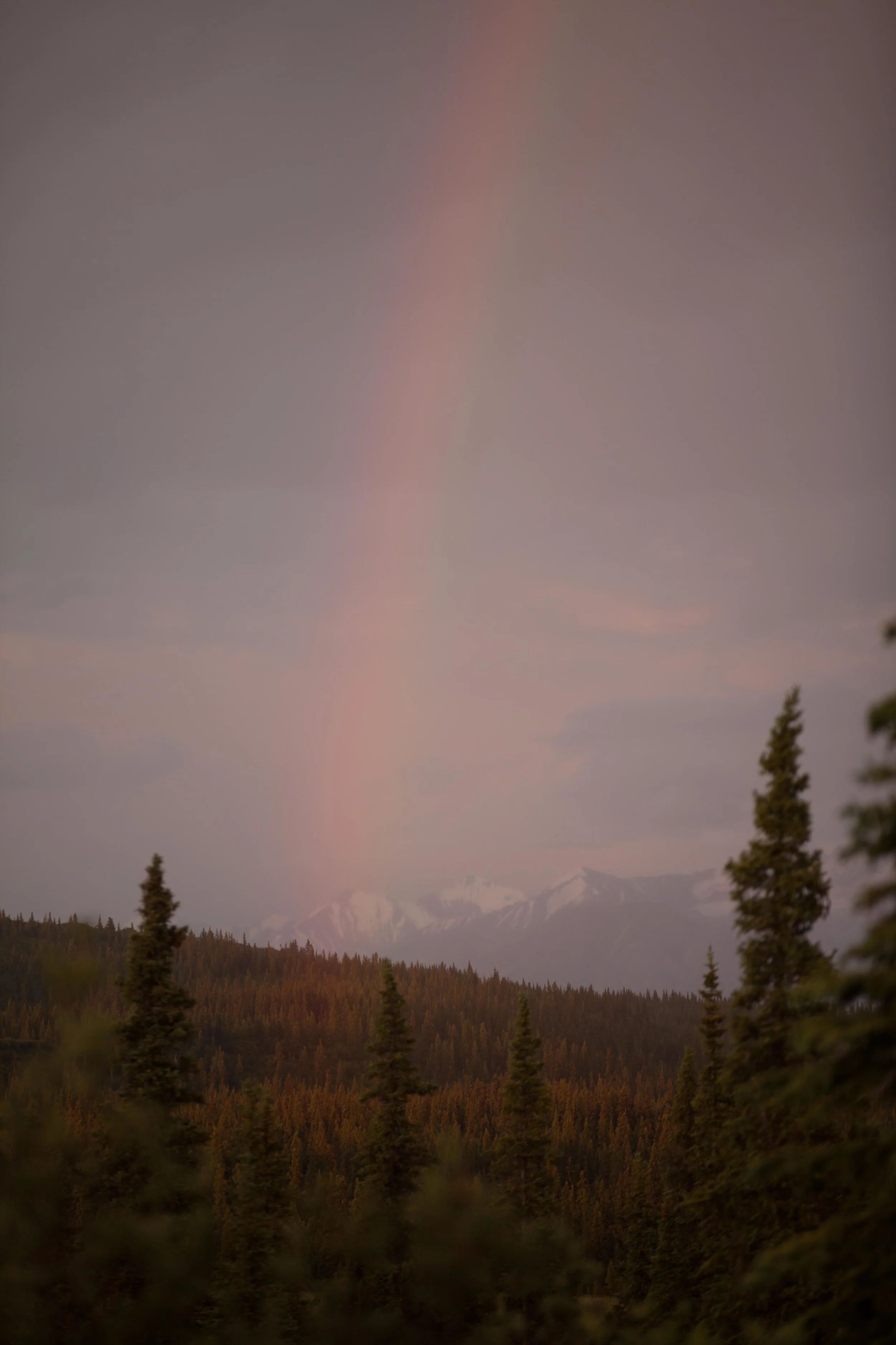 JohnOCallaghan_Photography_5Stars-17.jpg