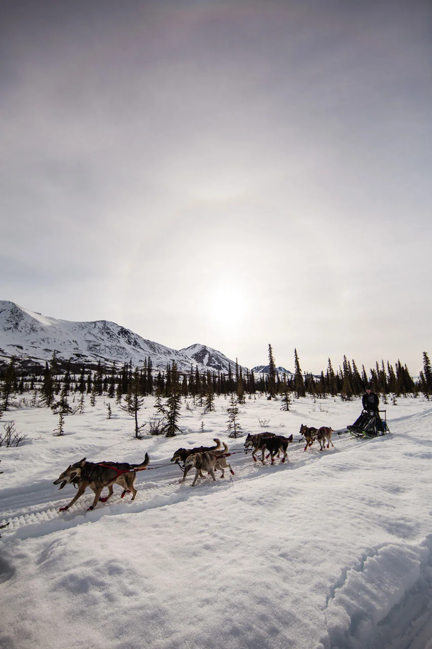 2017.04.28_1620USA_Alaska_Day3_Canon_John-Selects-48.jpg