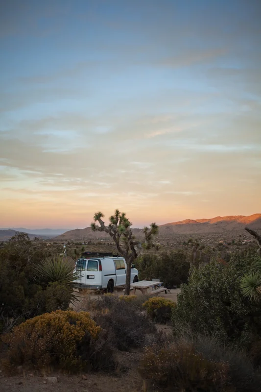 2017.11.17_Joshua Tree-22.jpg