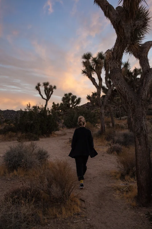 2017.11.17_Joshua Tree-34.jpg