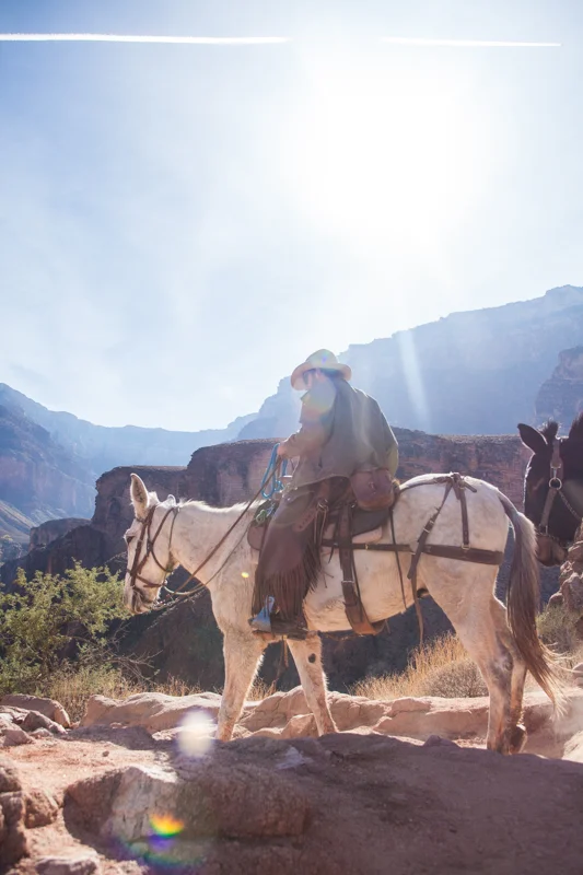 2017.11.21_Grand Canyon-3139.jpg