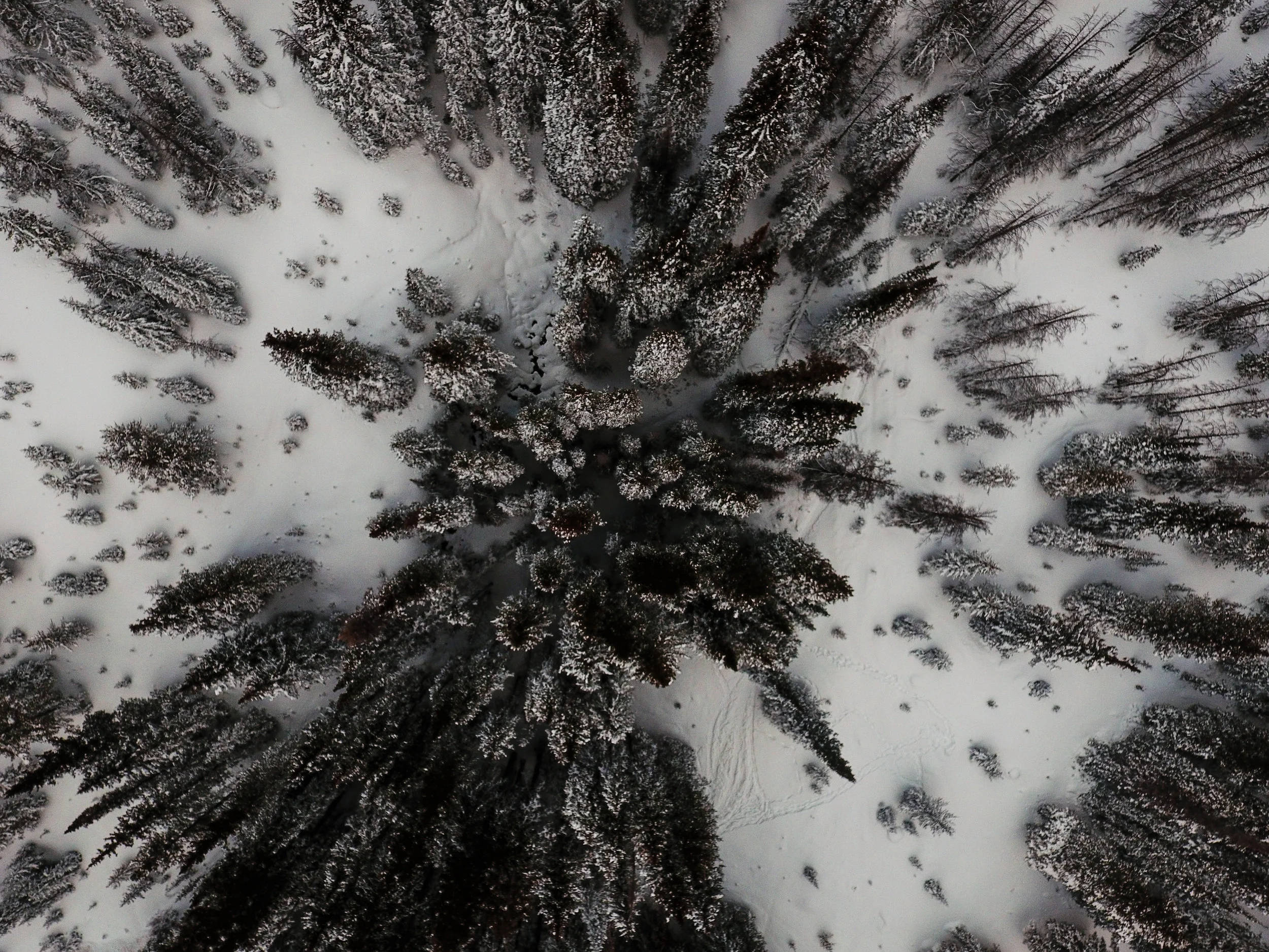 DJI_0011.jpg