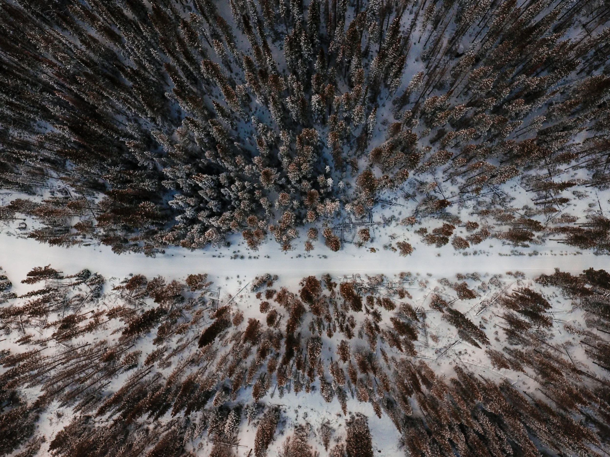 DJI_0002.jpg