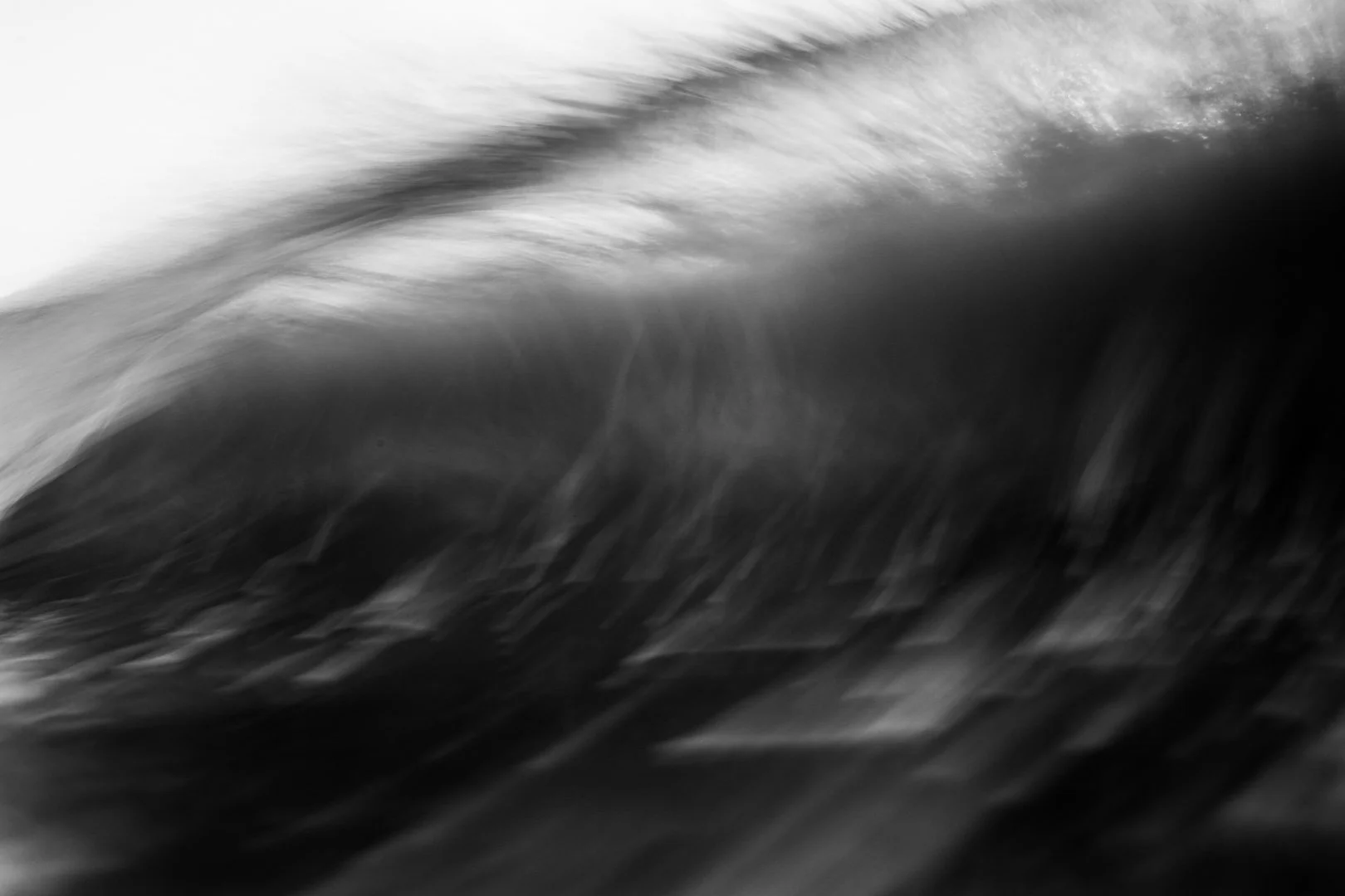 2019.01.29_Costa Rica-1432.JPG