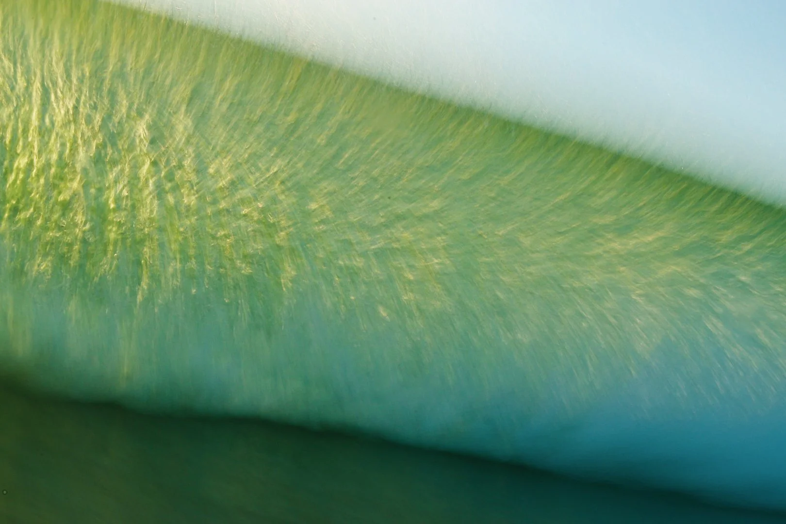 2019.01.29_Costa Rica-0922.JPG