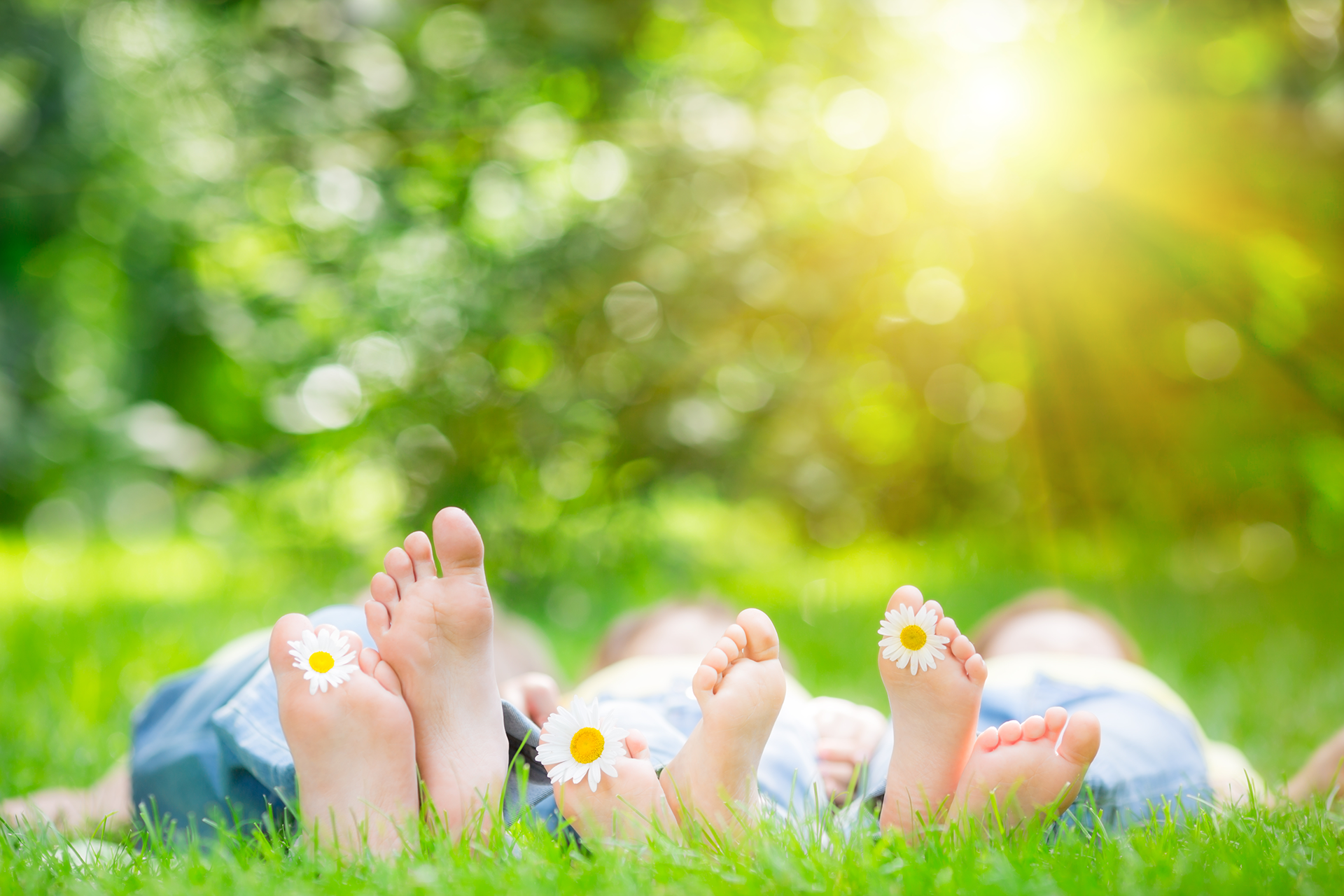 AdobeStock_61465450.png
