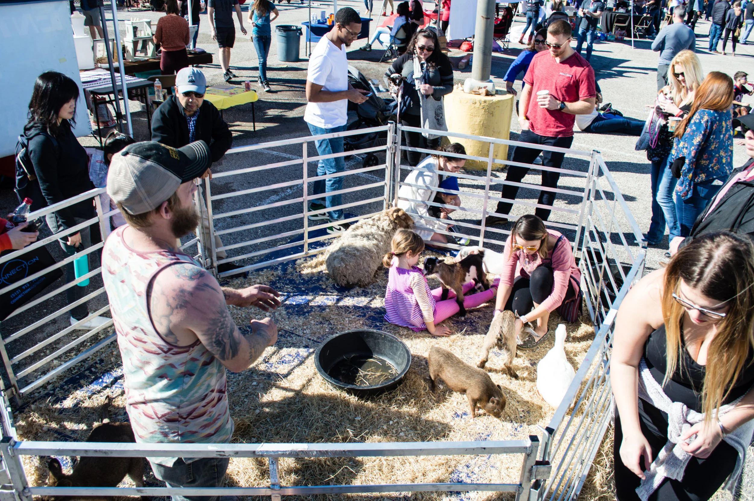 David Poku’s Food Truck Festivals offer much more than just delicious food, including a small petting zoo. Photo by Nick Bailey