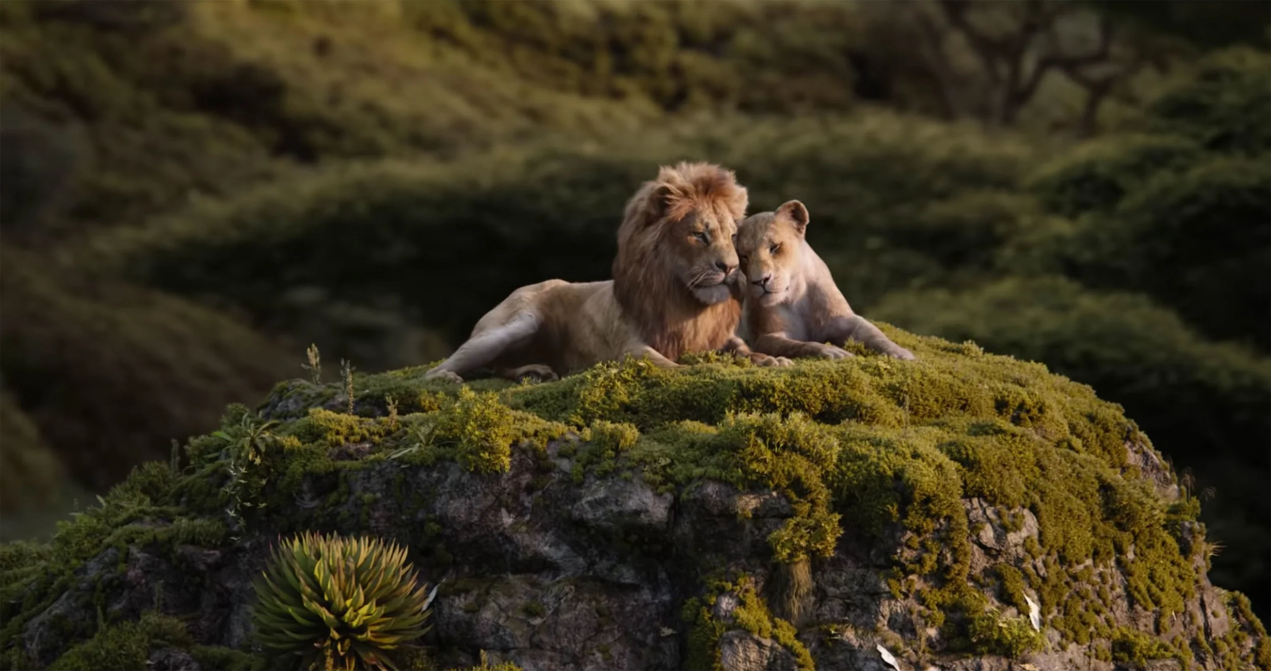 15. Lion King 04.jpg