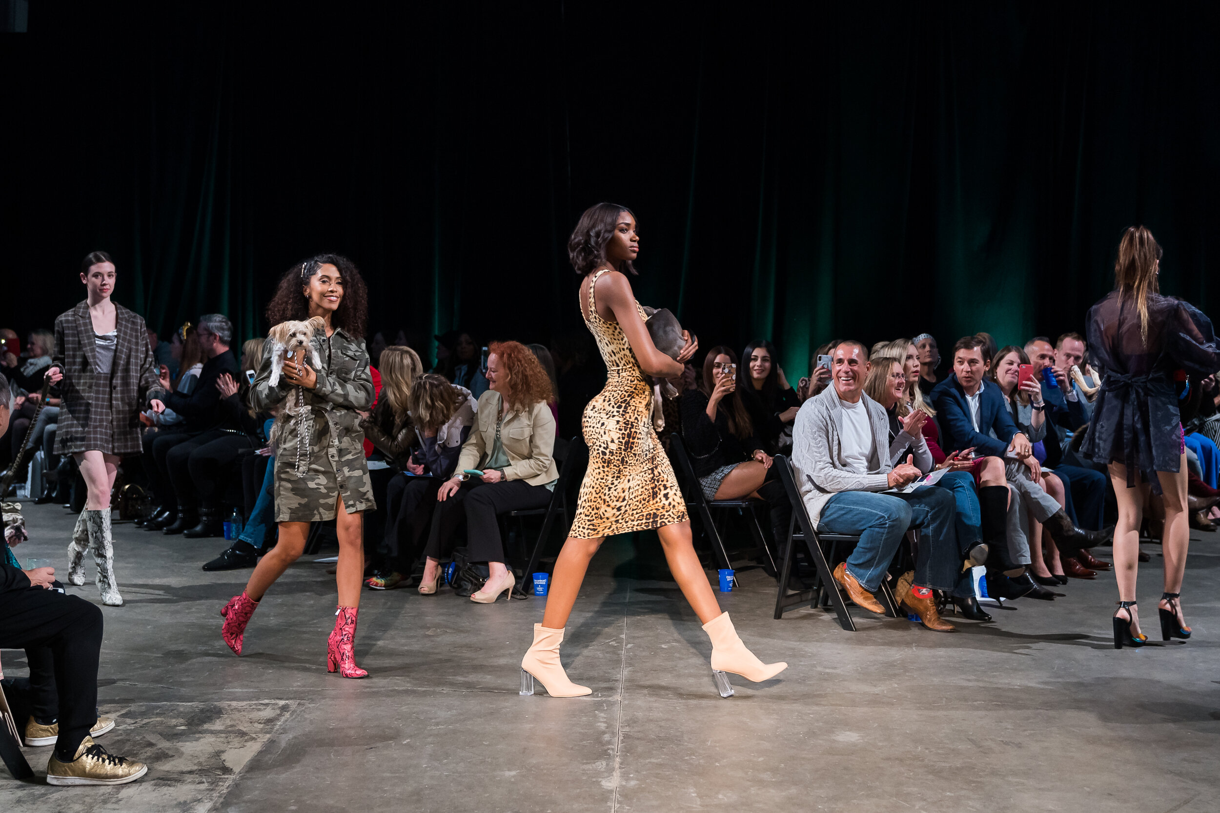 FFG Haute Dogs Fall 19 Preview-30.jpg